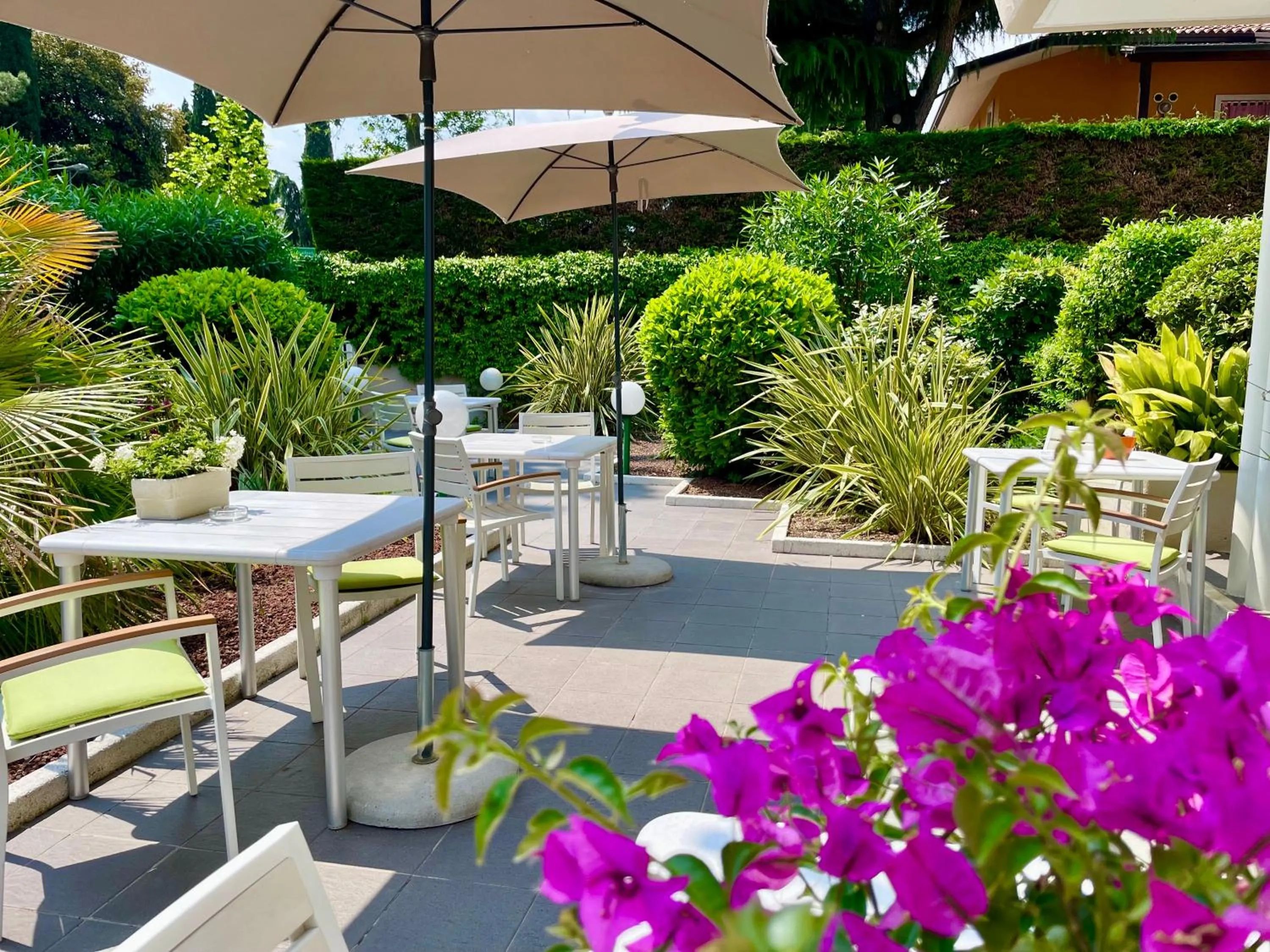 Garden in Hotel Alfieri