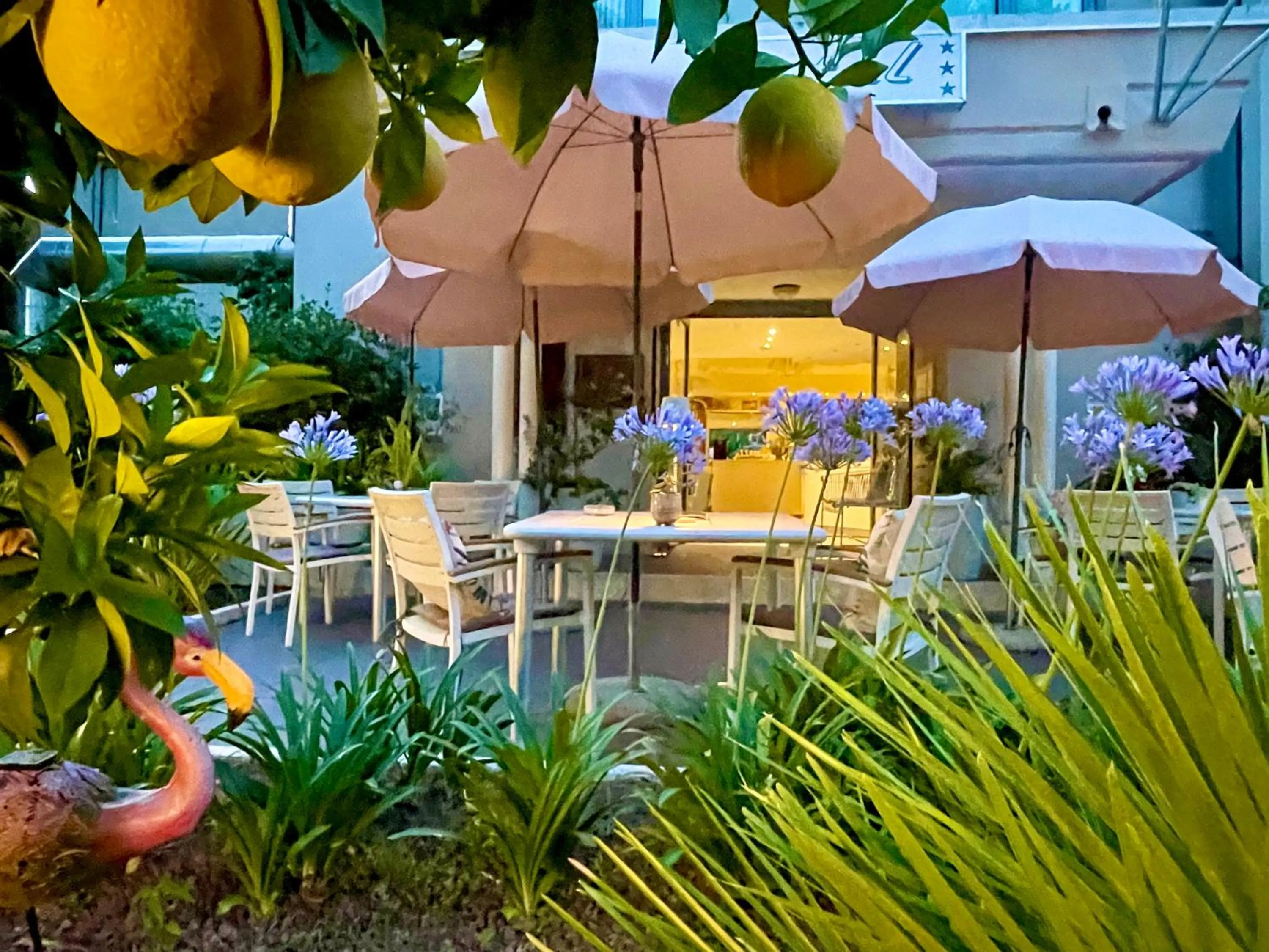 Garden in Hotel Alfieri