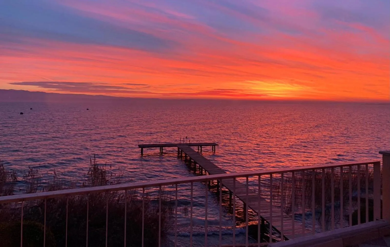 Natural landscape in Hotel Alfieri