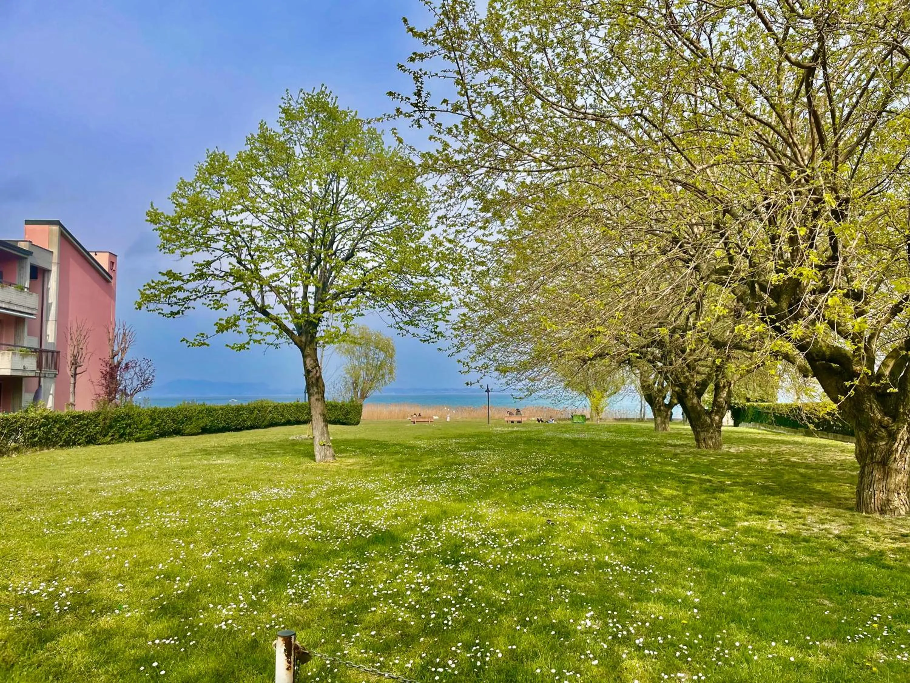 Beach in Hotel Alfieri