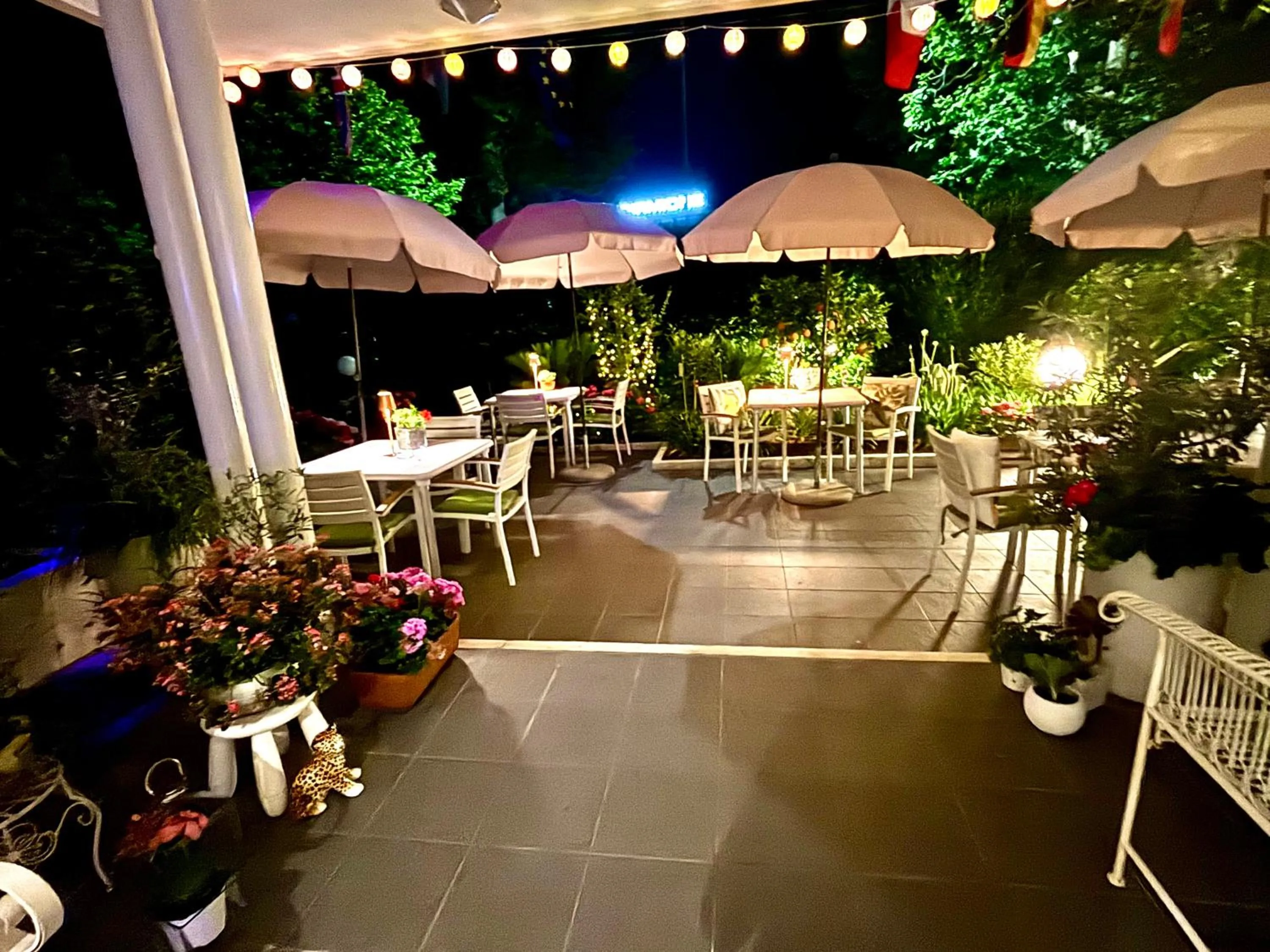 Garden in Hotel Alfieri