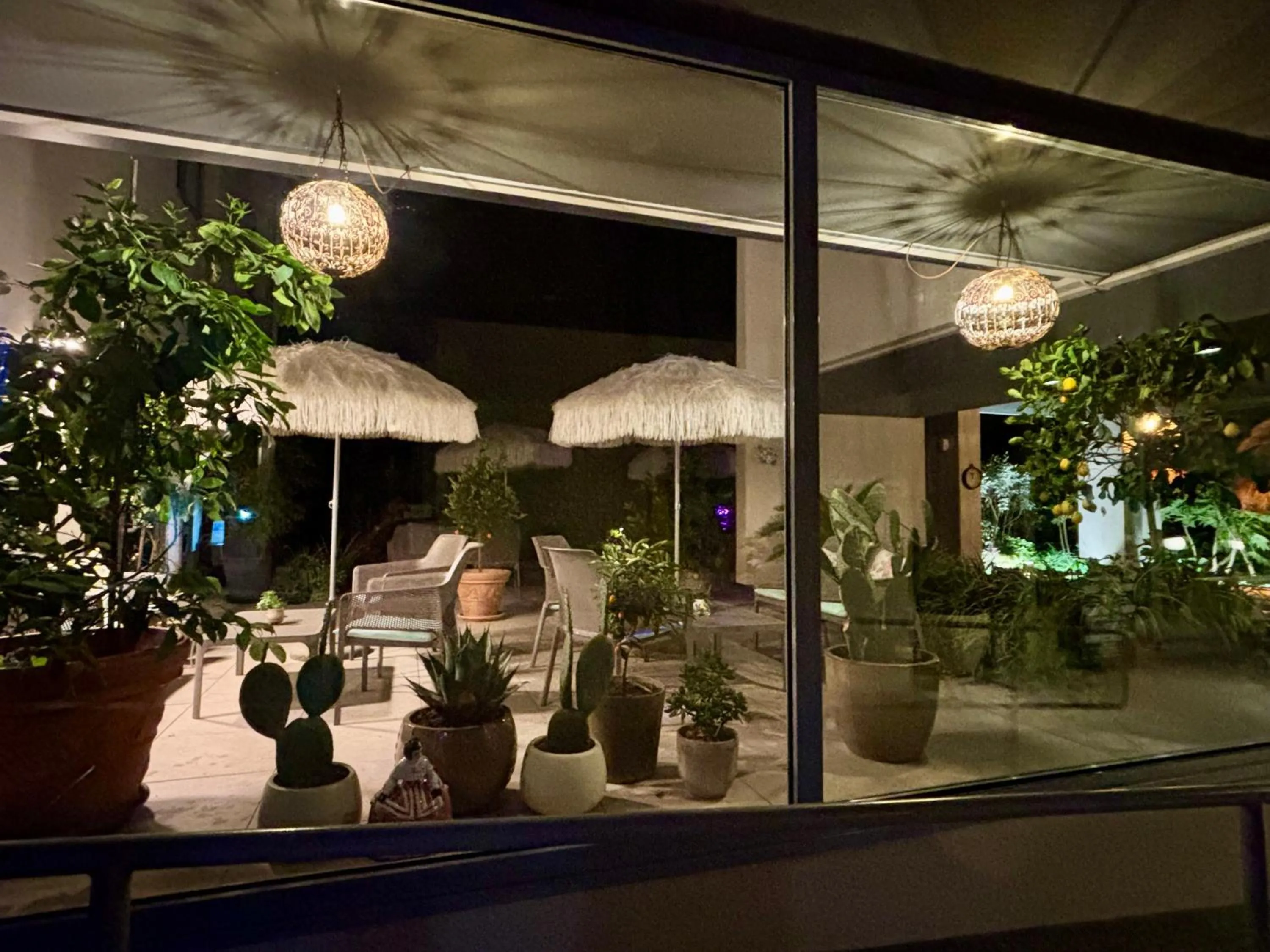 Garden in Hotel Alfieri