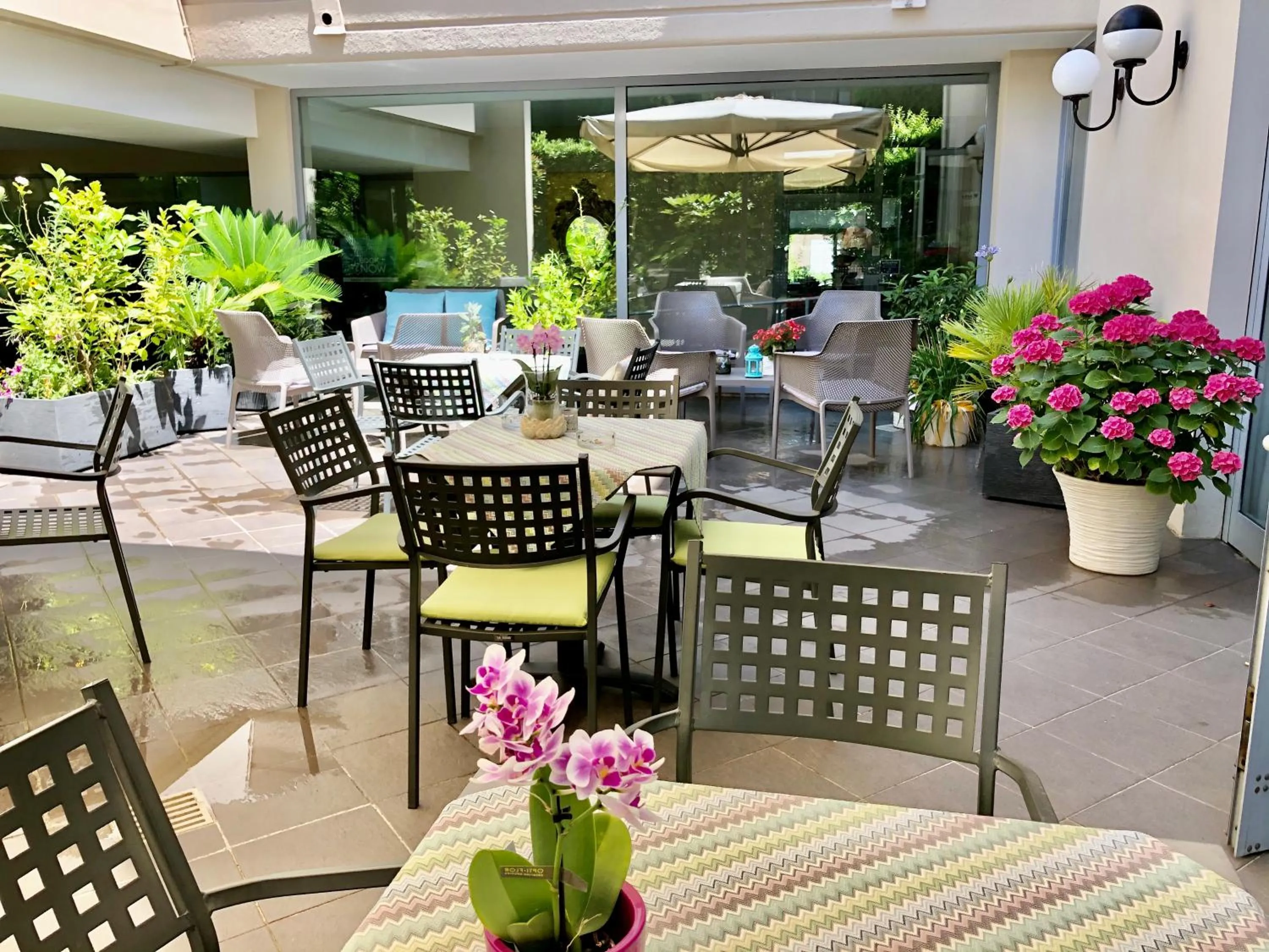 Garden in Hotel Alfieri