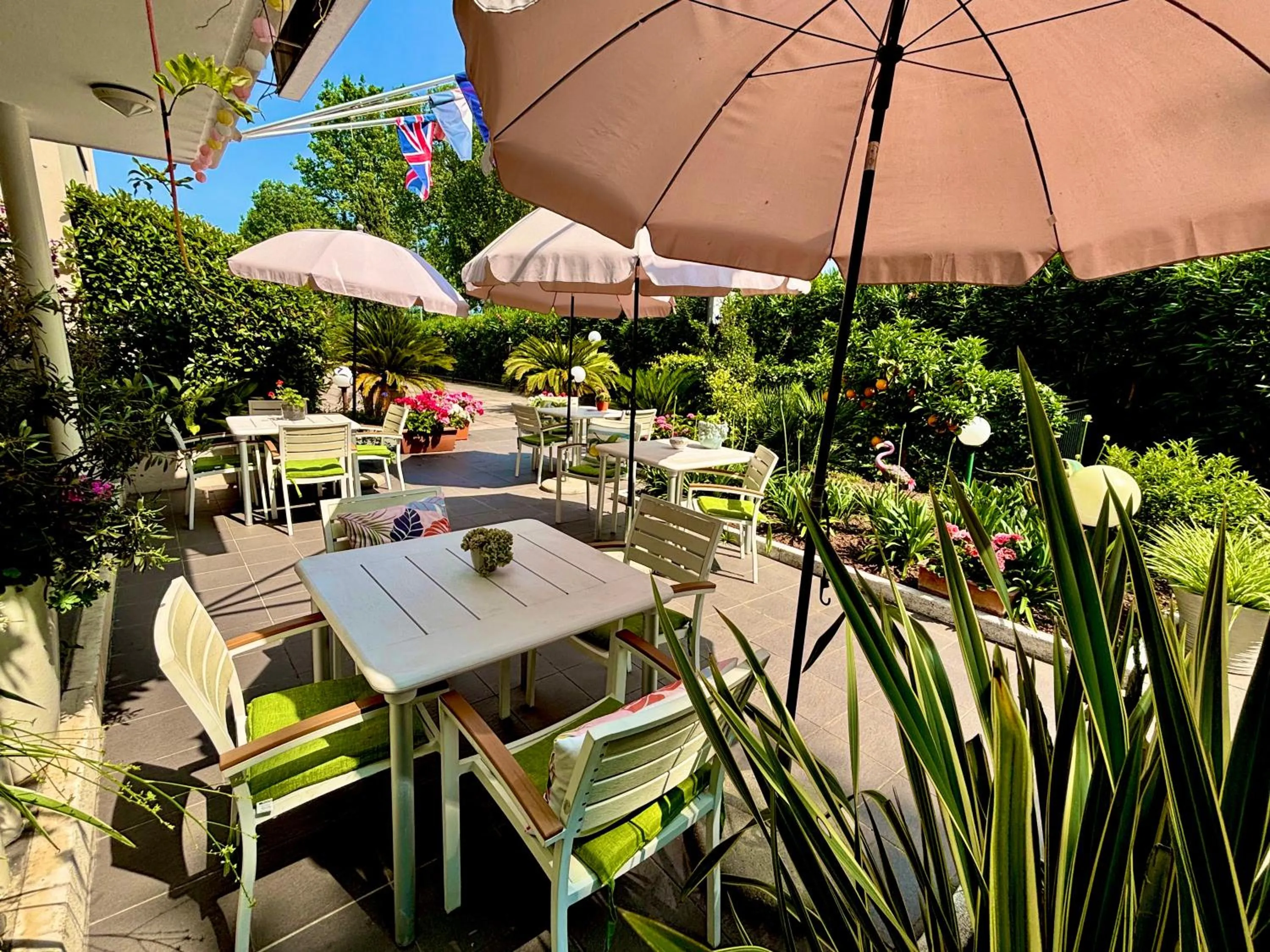 Garden in Hotel Alfieri