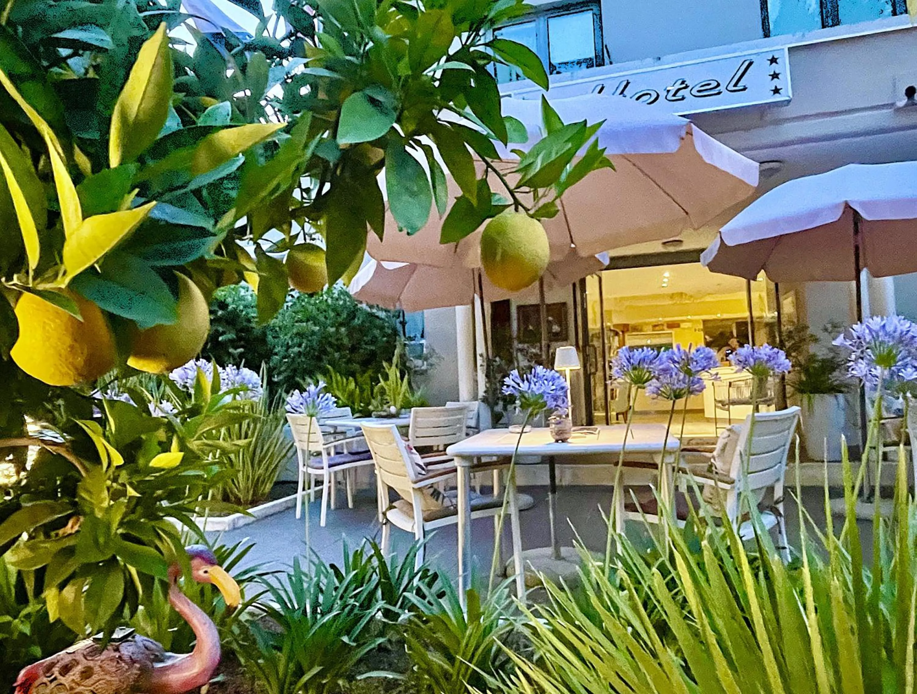 Garden in Hotel Alfieri