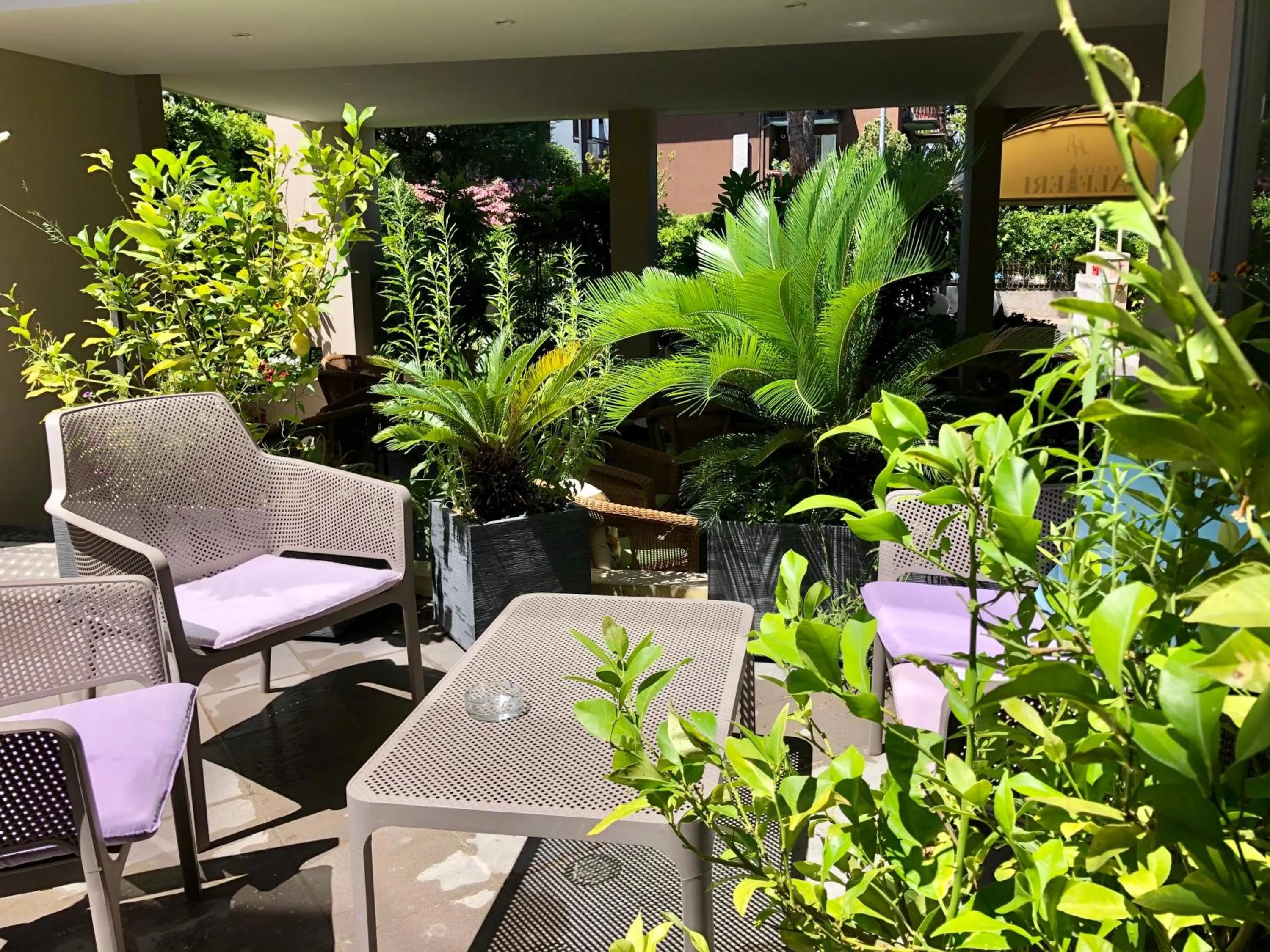 Garden in Hotel Alfieri