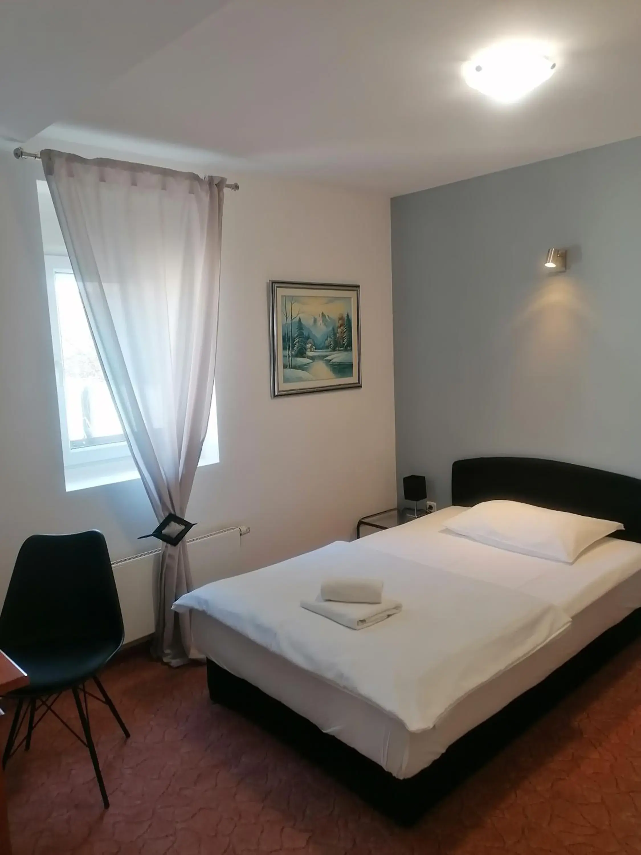 Single Room in Hotel Garny Pleso Single Room in Hotel Garny Pleso