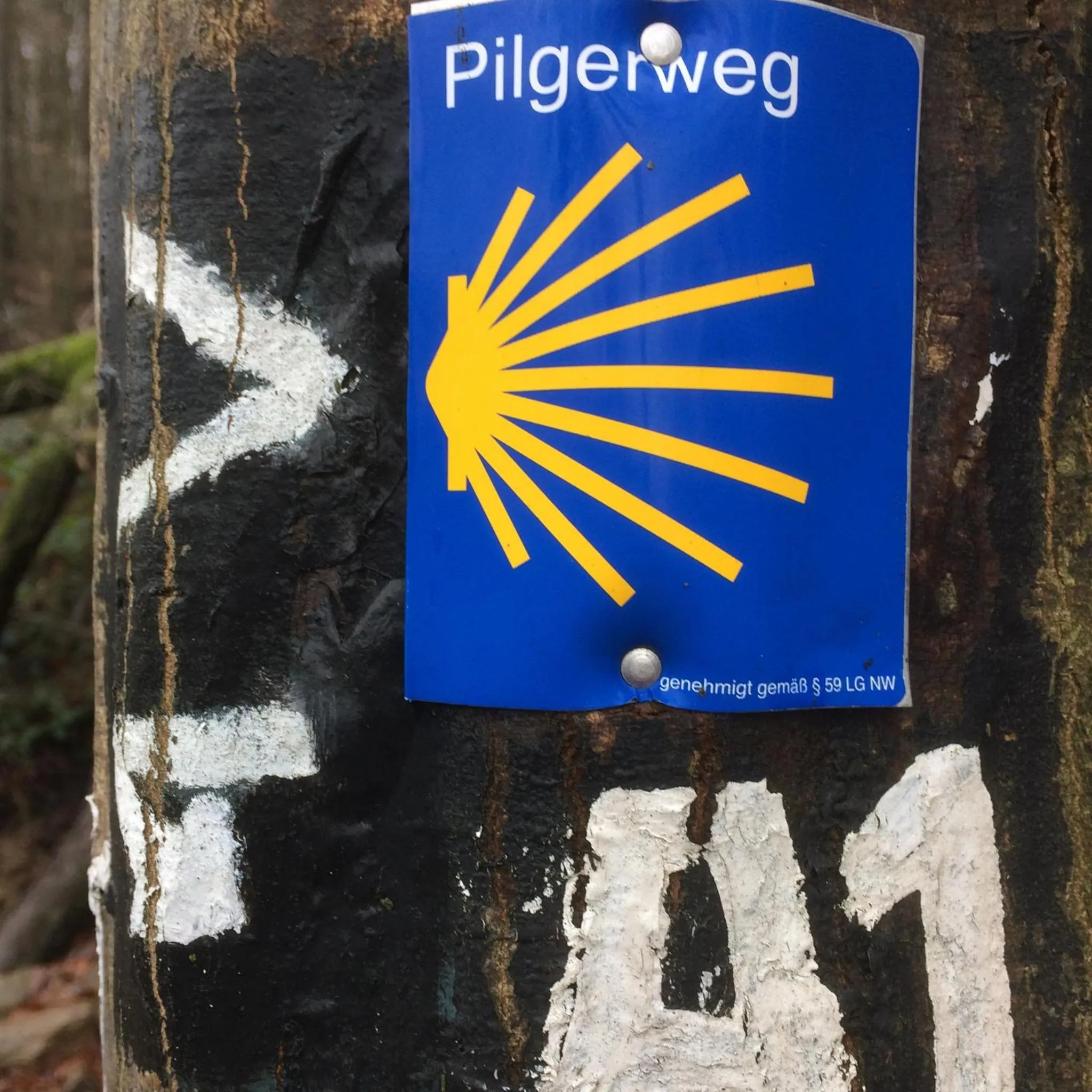 Natural landscape in Hotel Eikamper Höhe