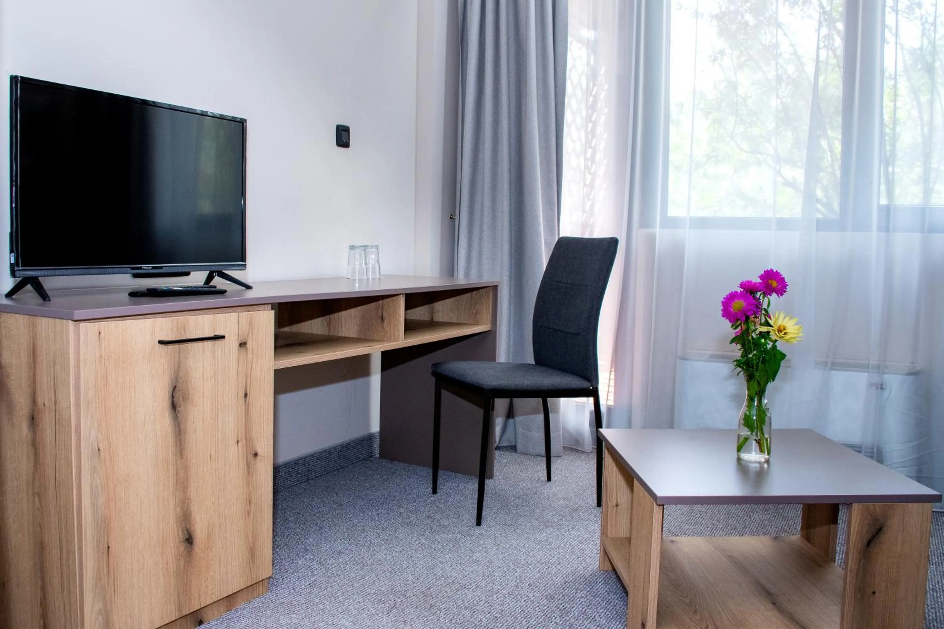 TV and multimedia in Hotel Orphey