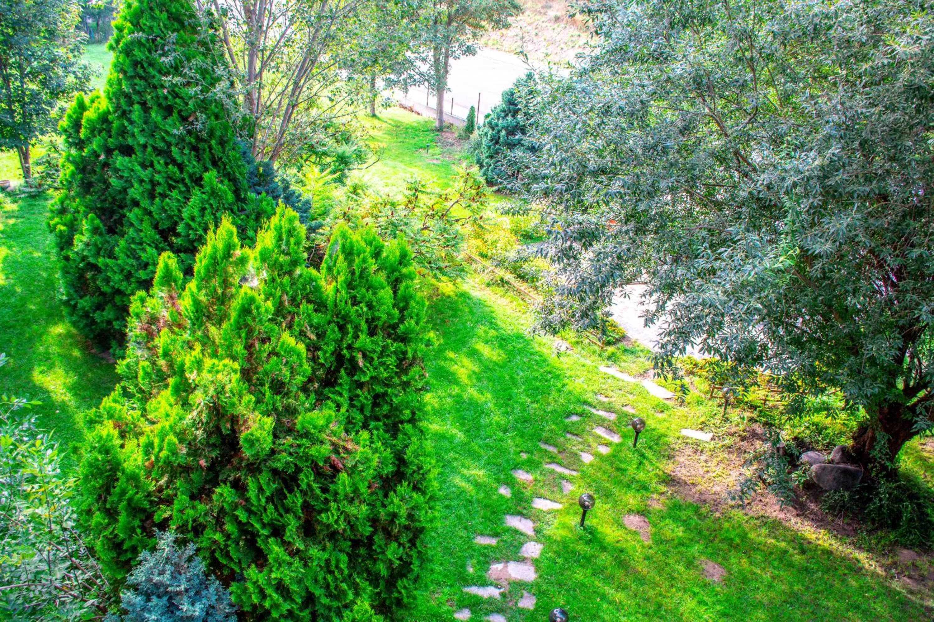 Patio in Hotel Orphey