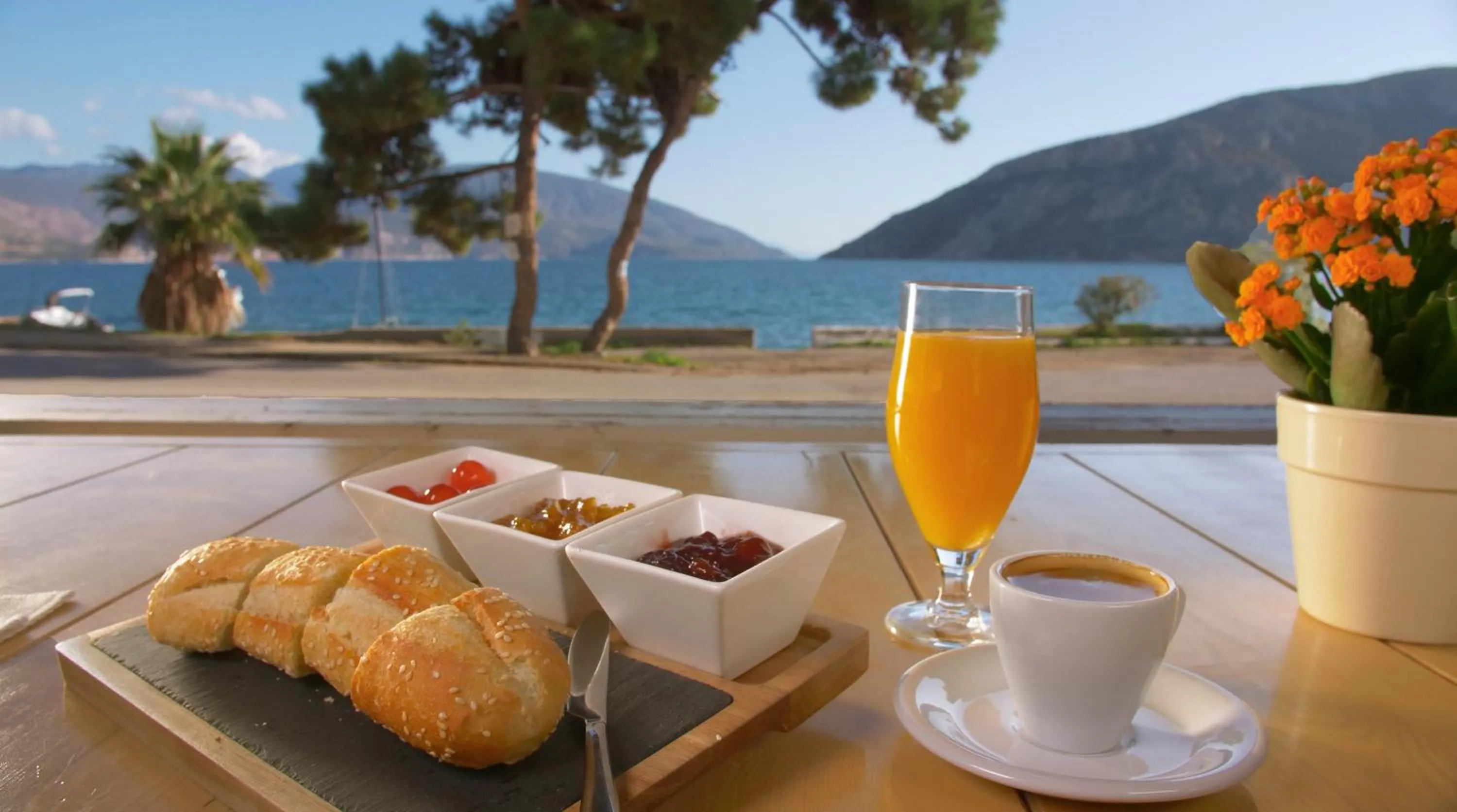 Food and drinks in Antikyra Beach Hotel