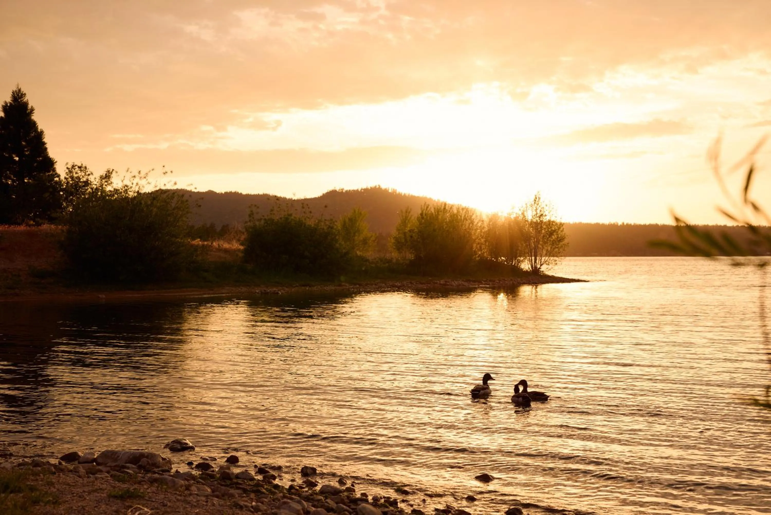 Hotel Marina Riviera