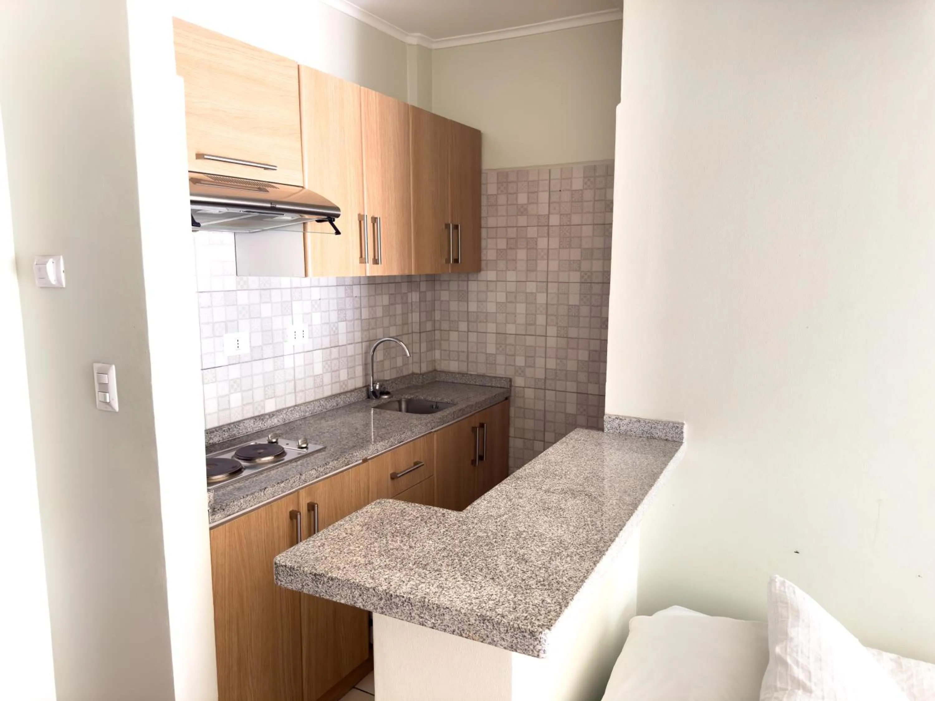 Kitchen or kitchenette in Hotel Plaza Ñuñoa