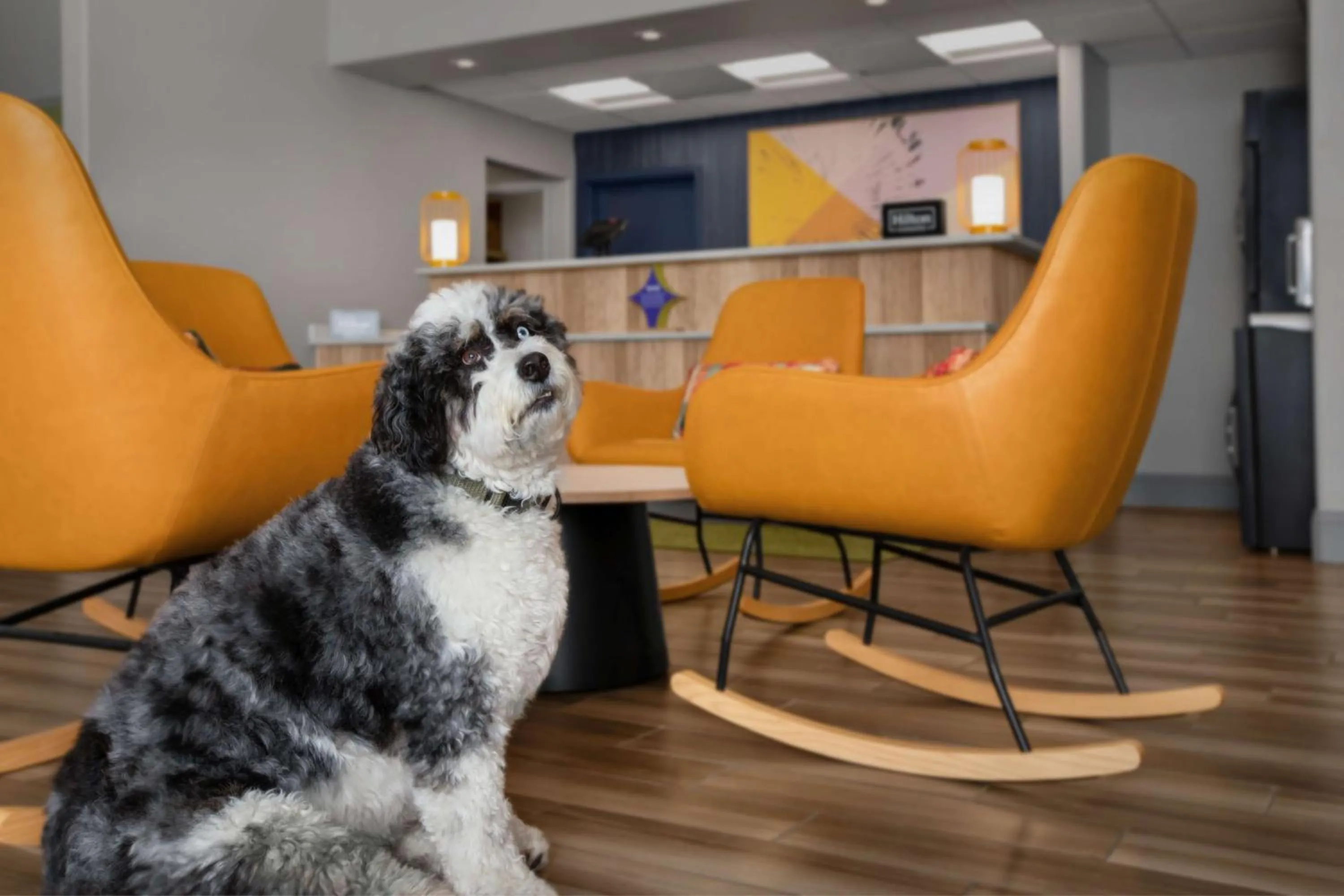 Spa and wellness centre/facilities in Best Western Plus Executive Suites Albuquerque