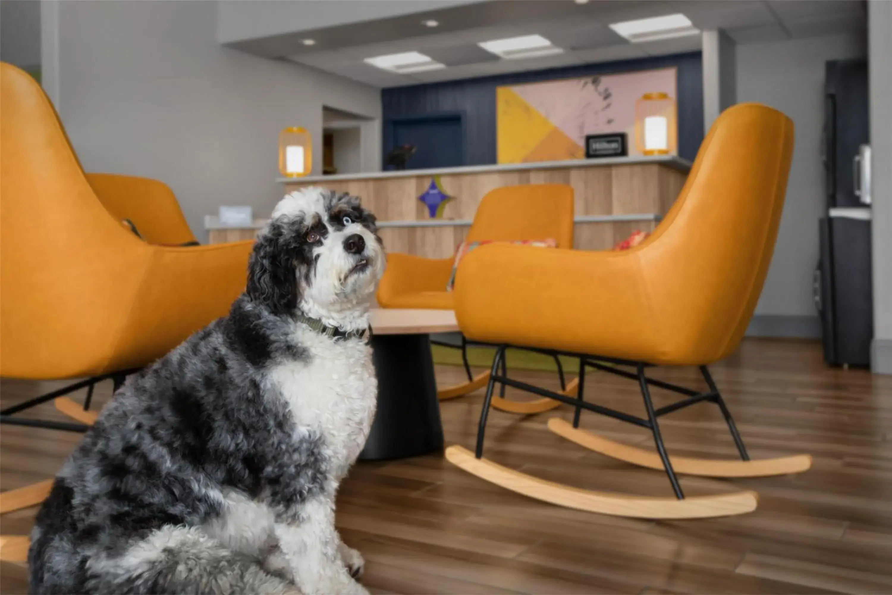 Spa and wellness centre/facilities in Spark By Hilton Albuquerque North I-25 Spa and wellness centre/facilities in Spark By Hilton Albuquerque North I-25