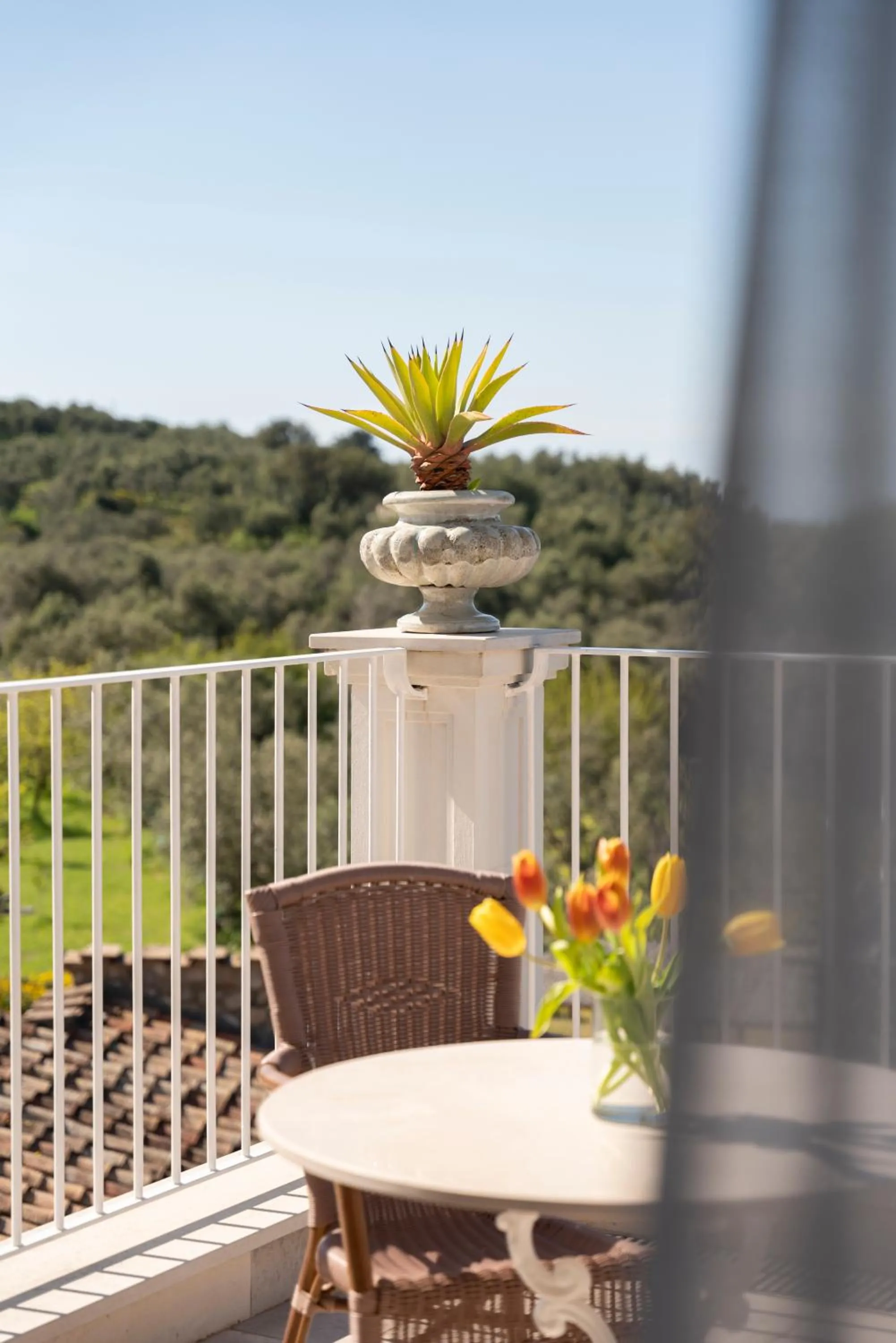 Patio in Relais Palazzo del Barone