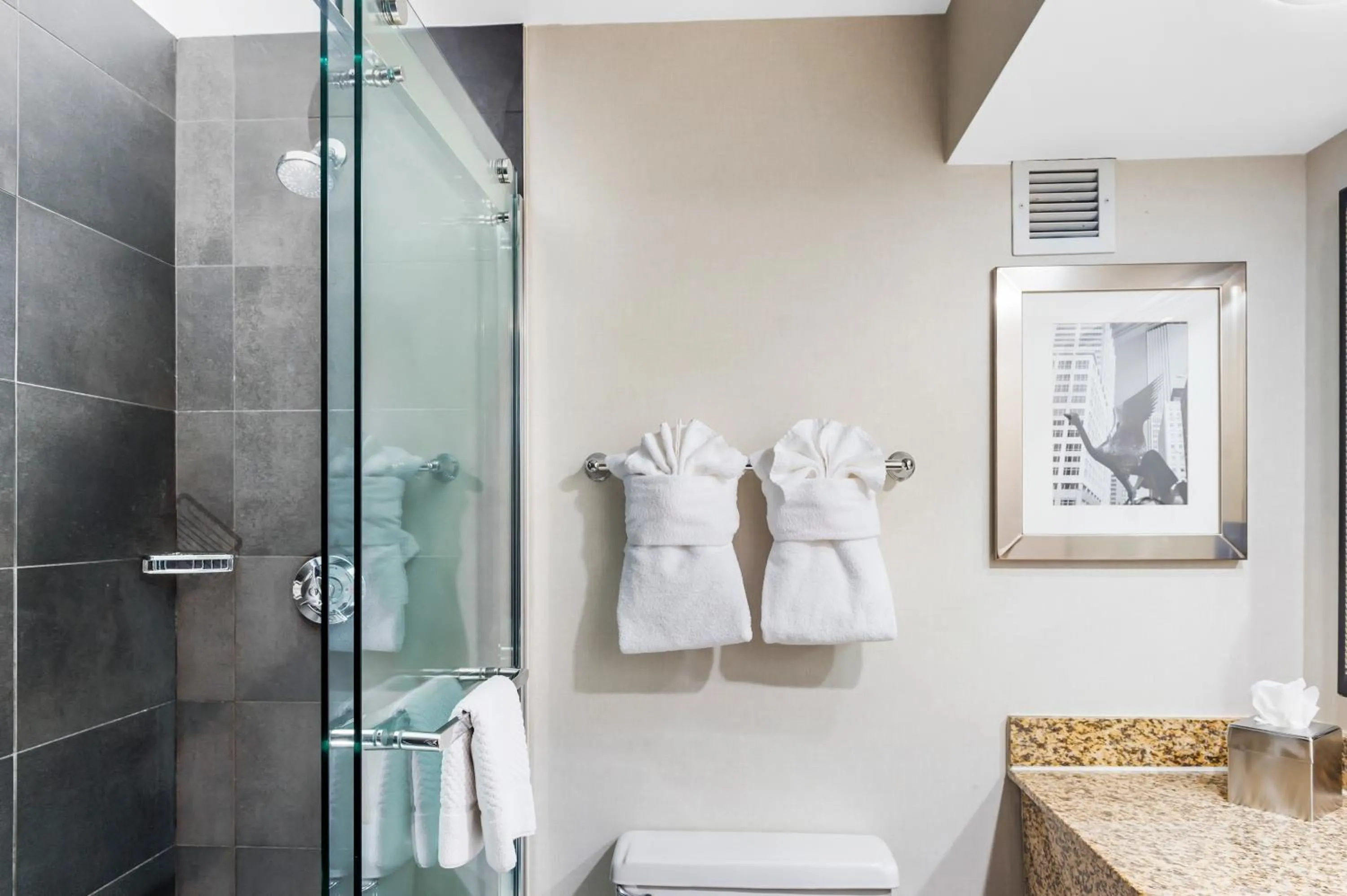 Bathroom in DoubleTree by Hilton Roseville Minneapolis