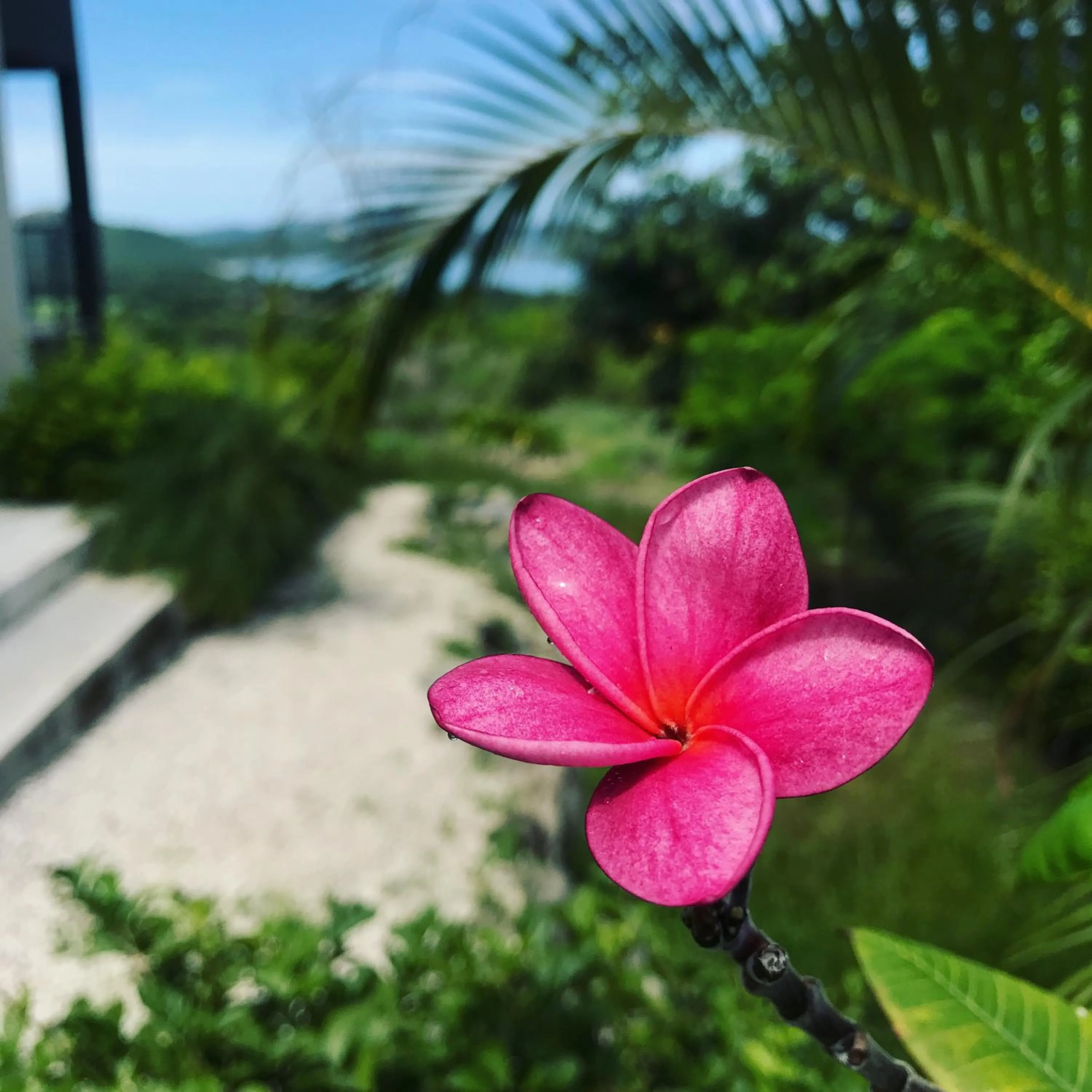 Sea view in Surfside Mar Y Posa
