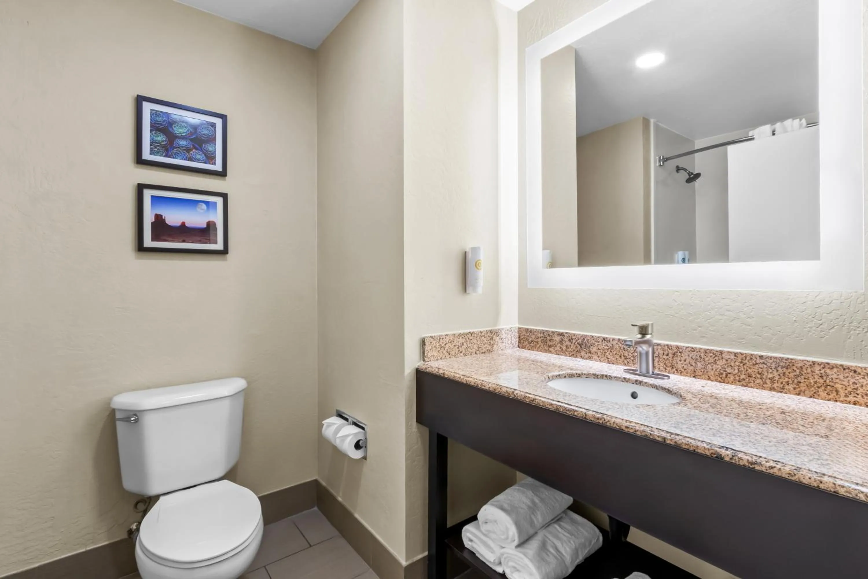 Bathroom in Comfort Inn & Suites Surprise Near Sun City West