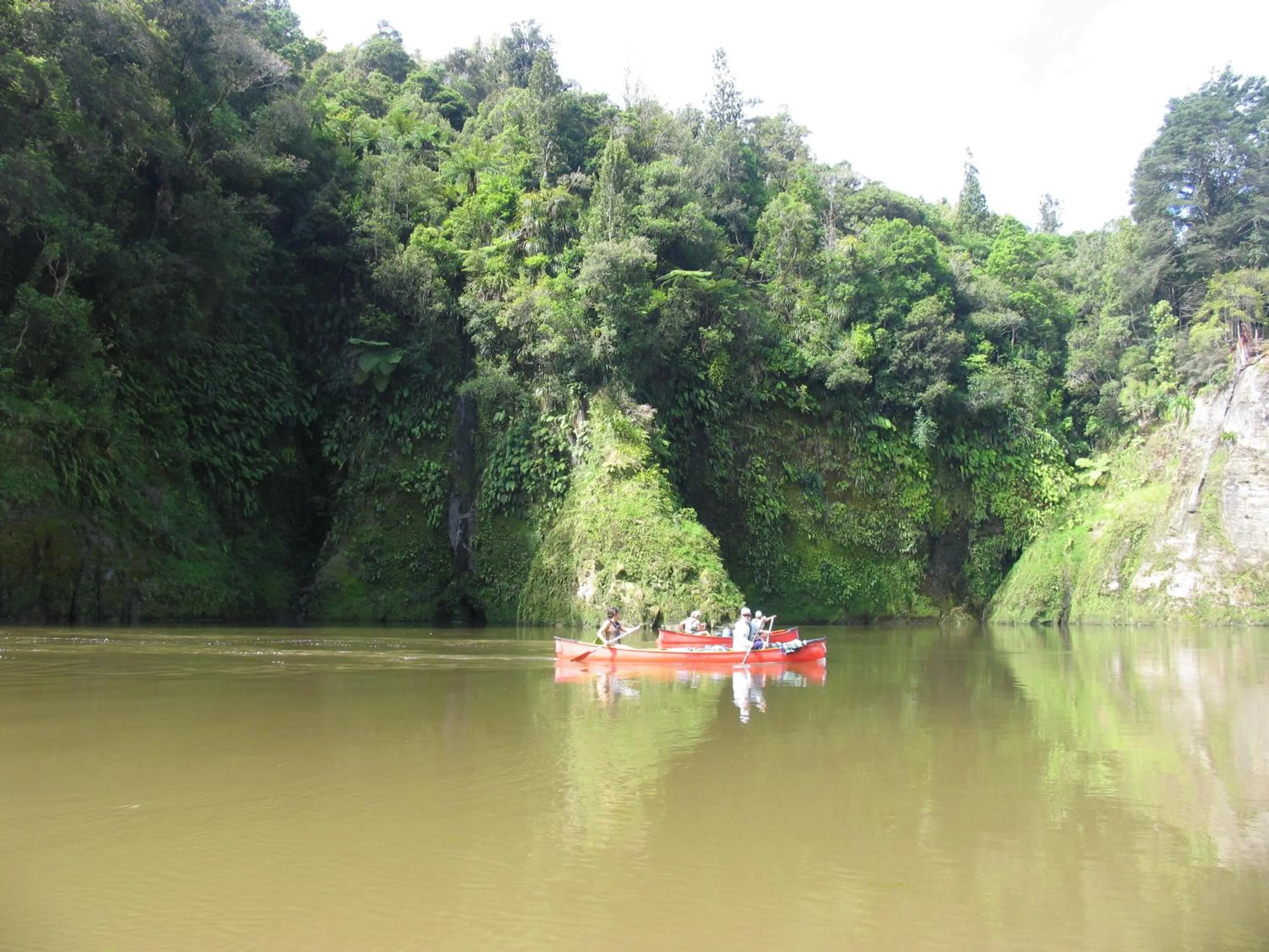 Natural landscape in Plateau Lodge