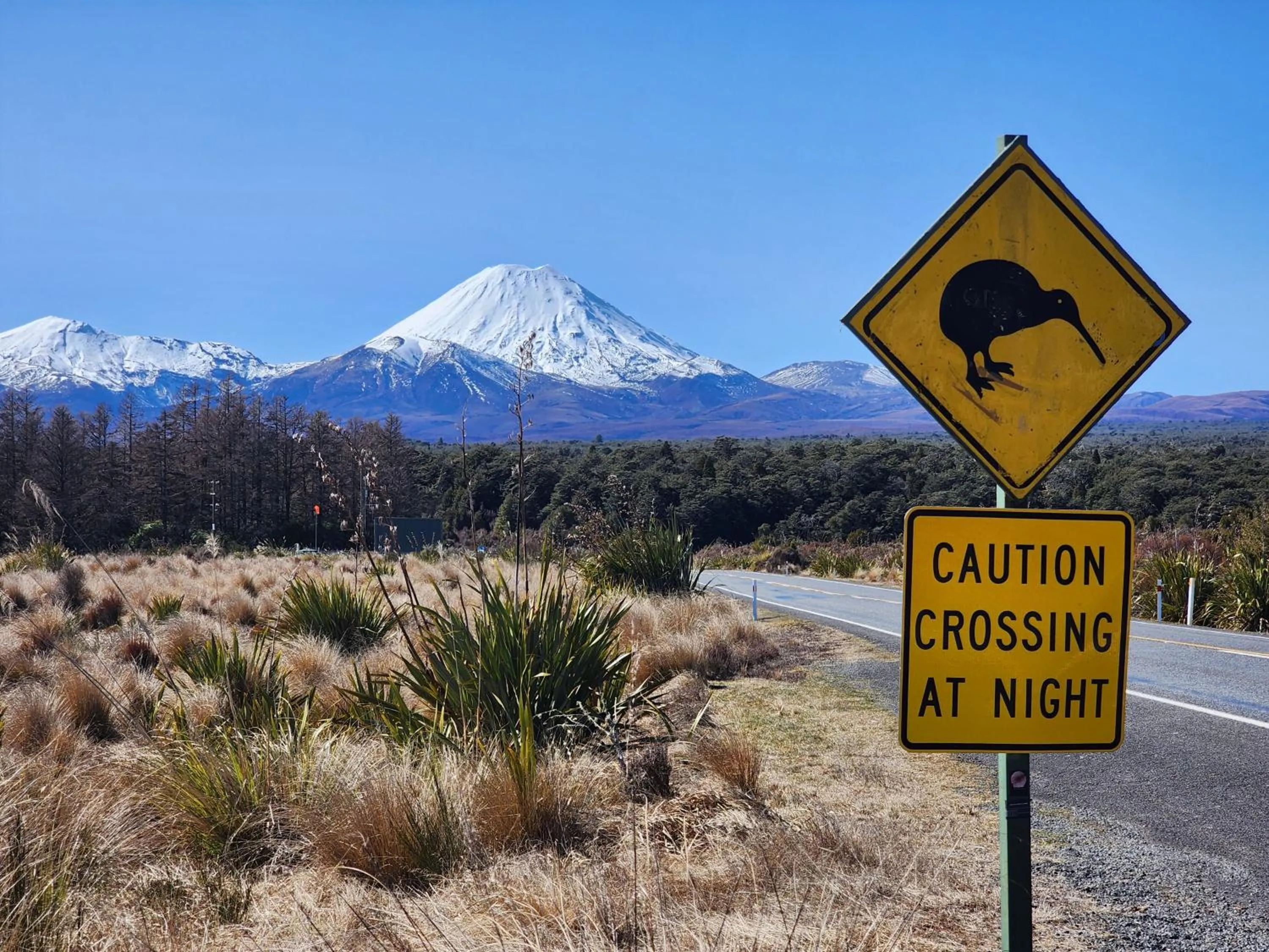 Winter in Plateau Lodge