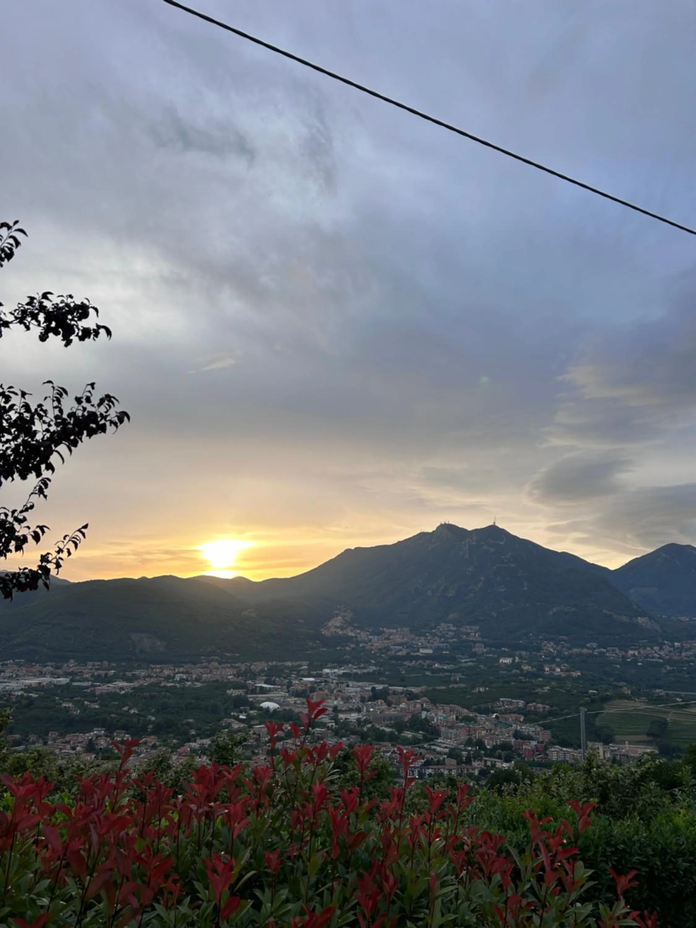 Bird's eye view in Villa Amalia