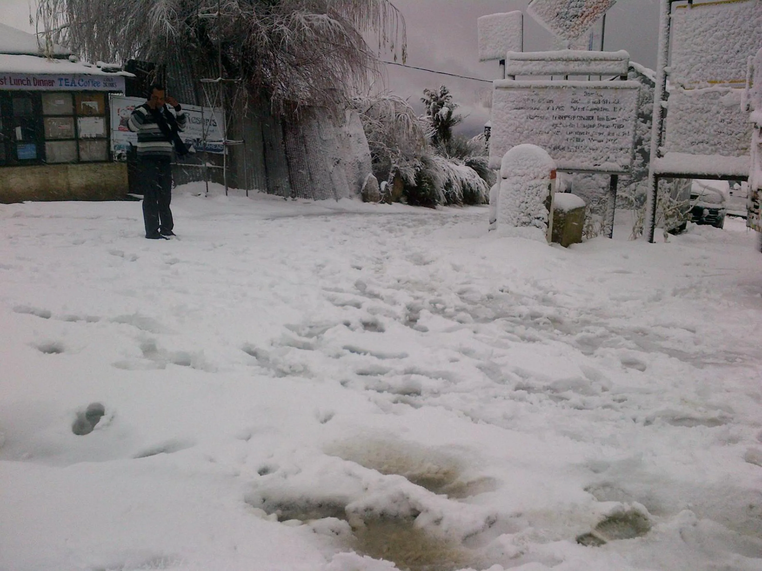 Winter in Toshali Royal View ,S H I M L A