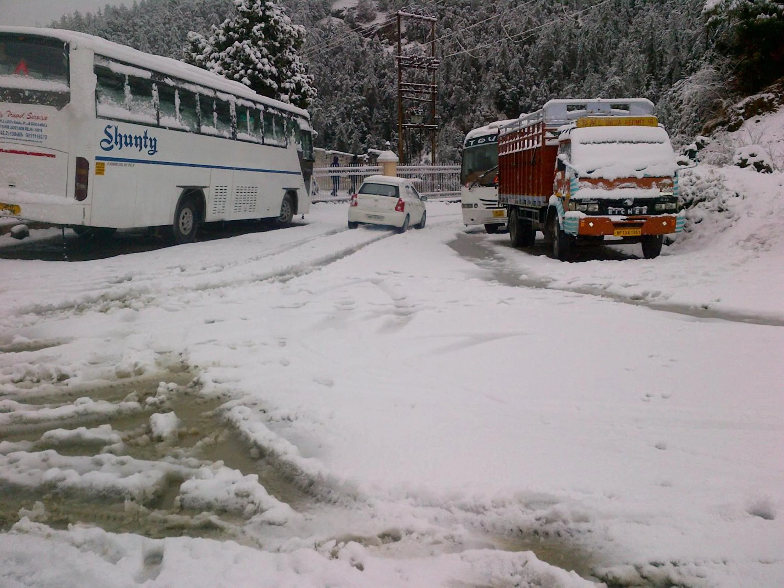 Natural landscape in Toshali Royal View ,S H I M L A