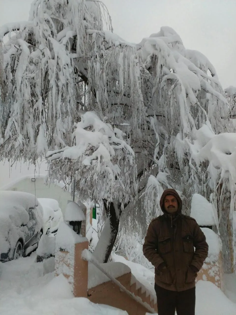 Natural landscape in Toshali Royal View ,S H I M L A