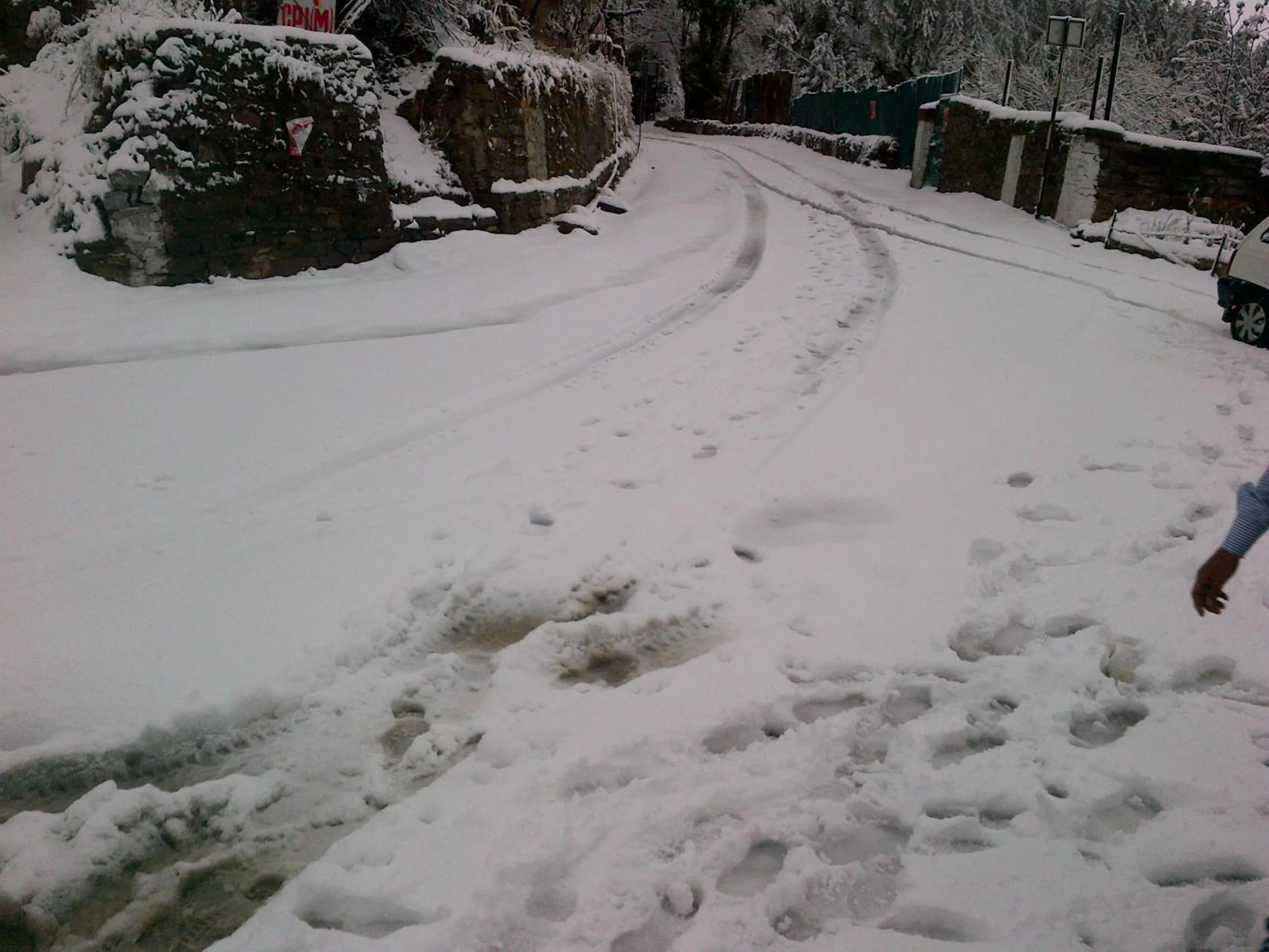 Natural landscape in Toshali Royal View ,S H I M L A