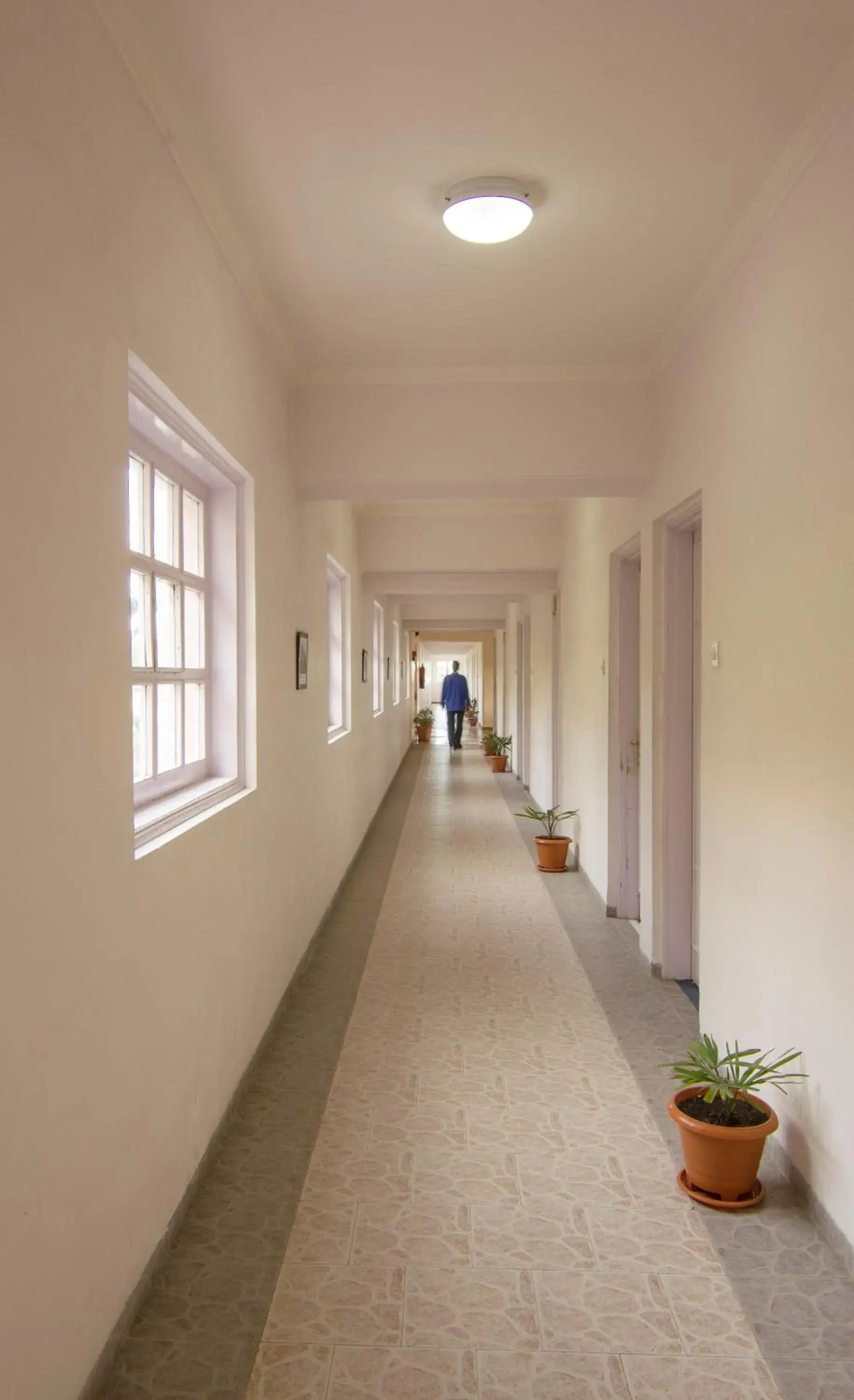 Property building in Toshali Royal View ,S H I M L A Property building in Toshali Royal View ,S H I M L A