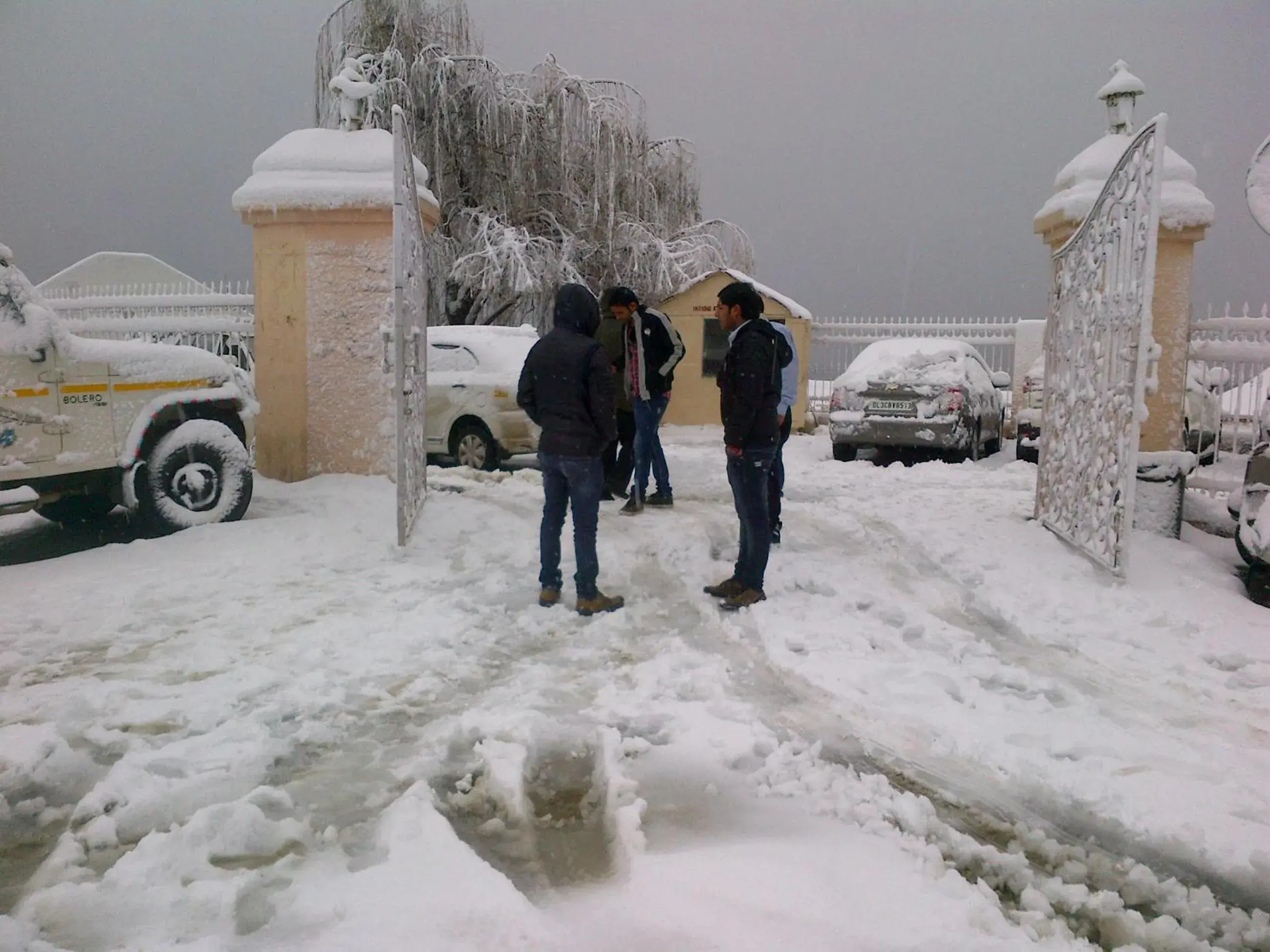 Natural landscape in Toshali Royal View ,S H I M L A Natural landscape in Toshali Royal View ,S H I M L A