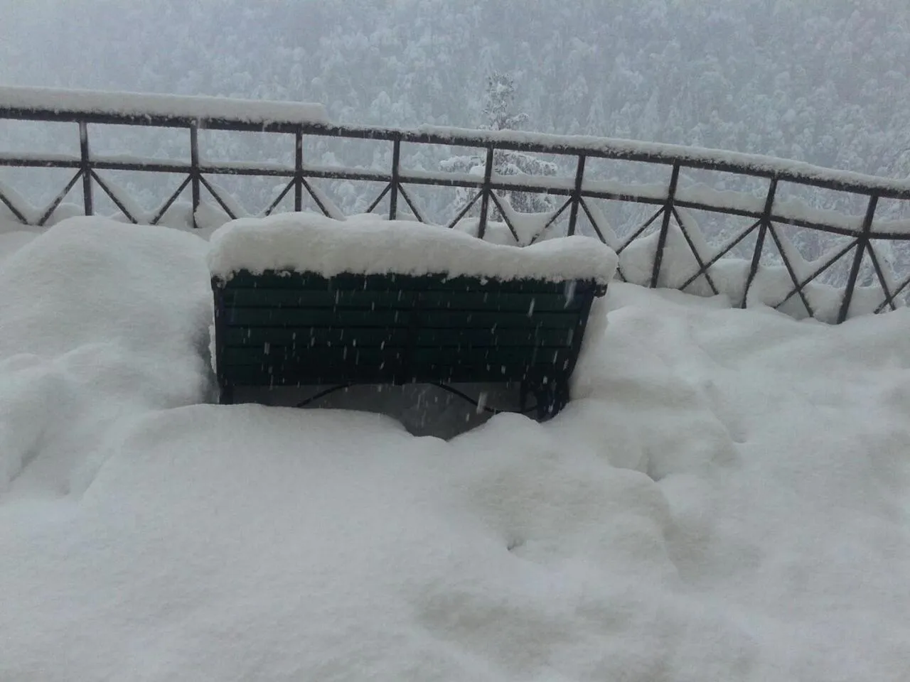 Winter in Toshali Royal View ,S H I M L A