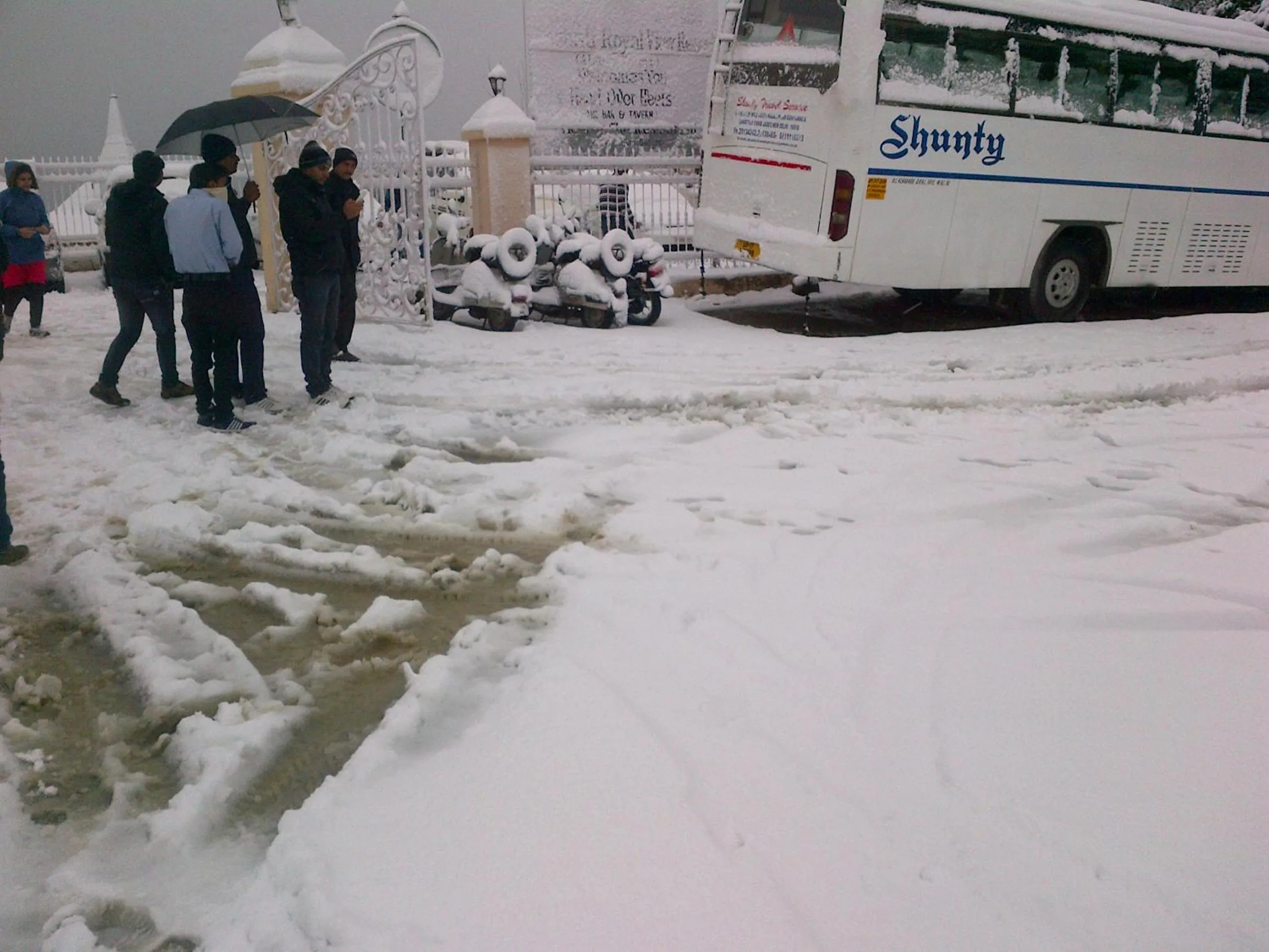 Winter in Toshali Royal View ,S H I M L A