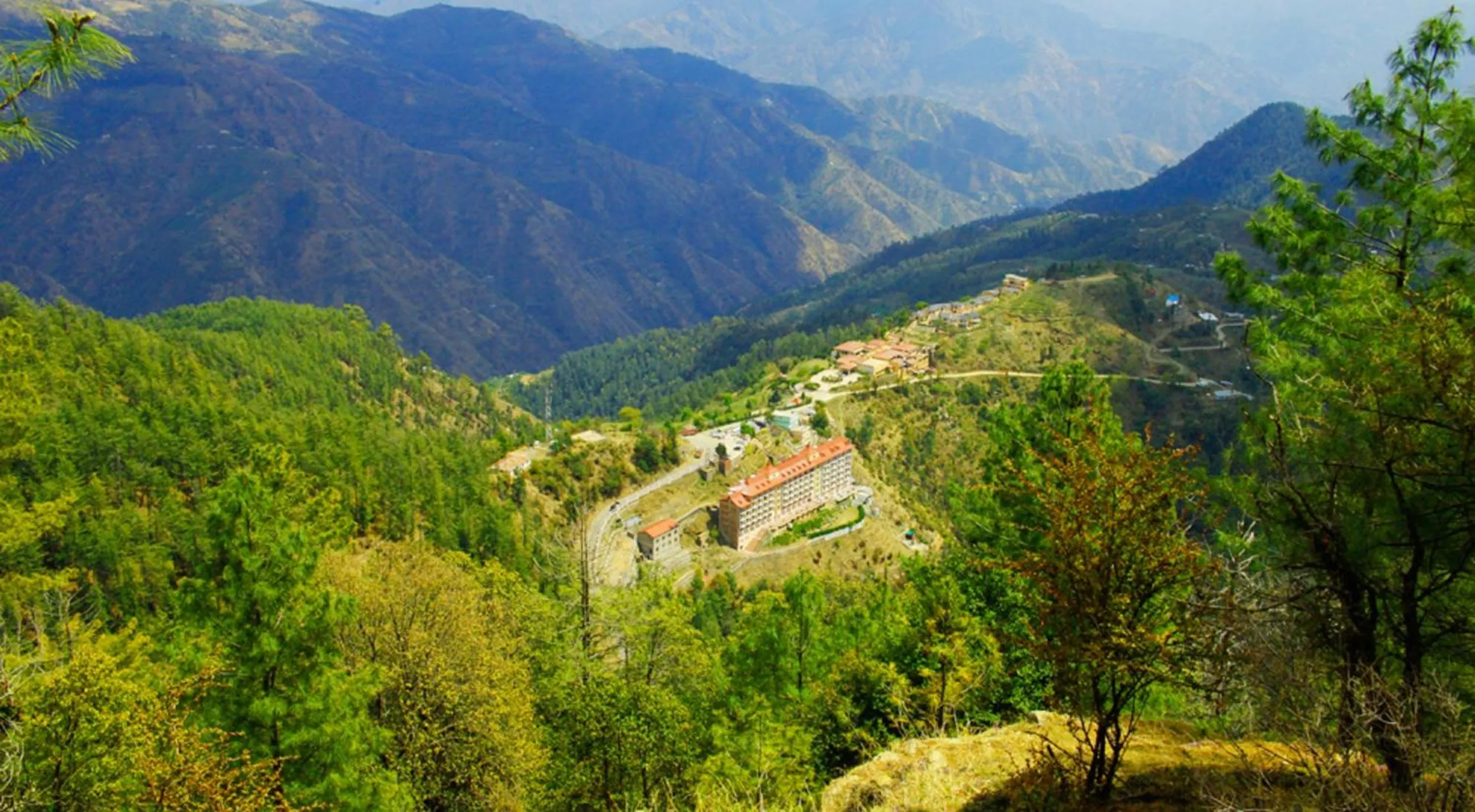 Mountain view in Toshali Royal View ,S H I M L A