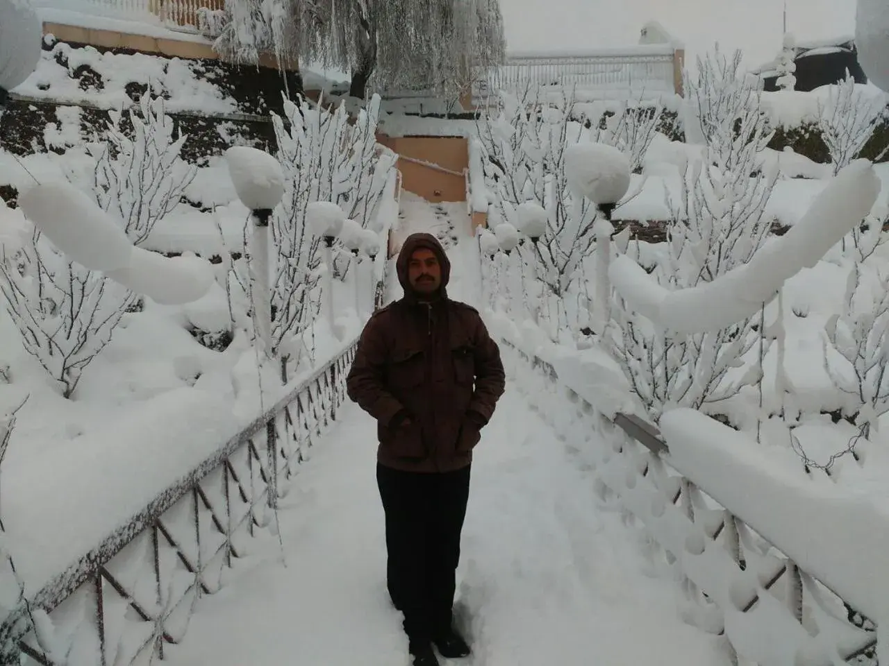 Natural landscape in Toshali Royal View ,S H I M L A Natural landscape in Toshali Royal View ,S H I M L A