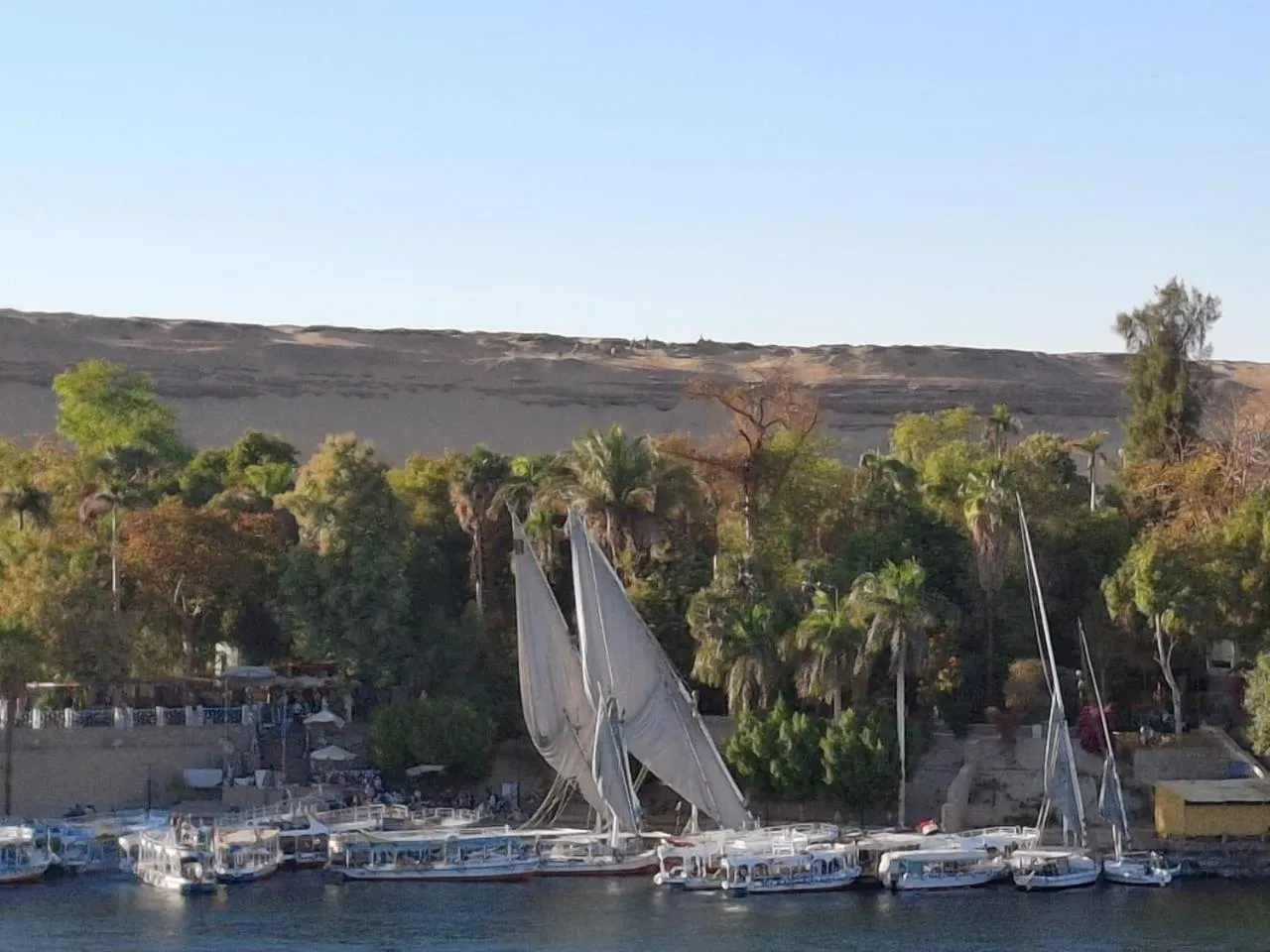 El Prince Guesthouse