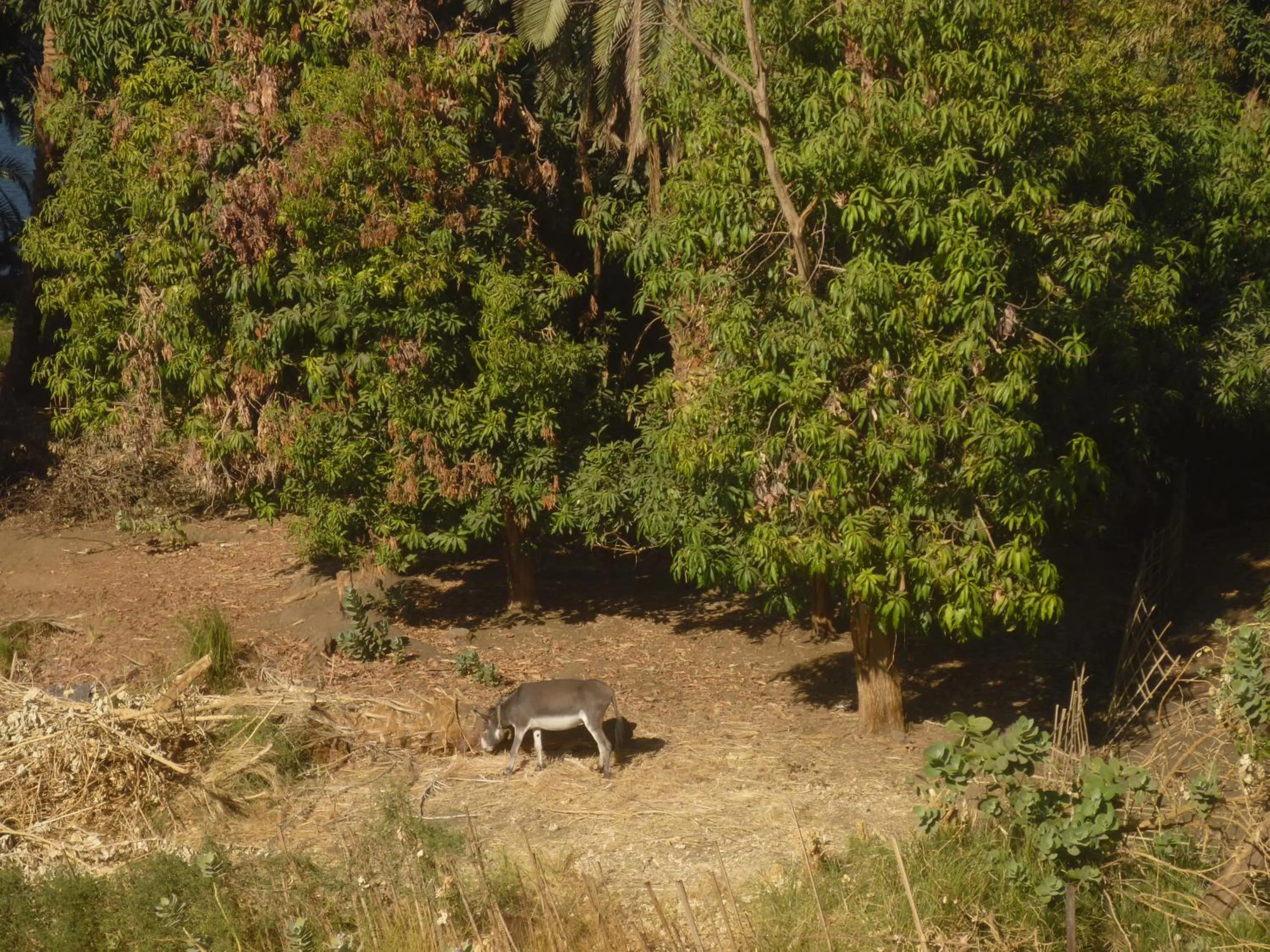 El Prince Guesthouse