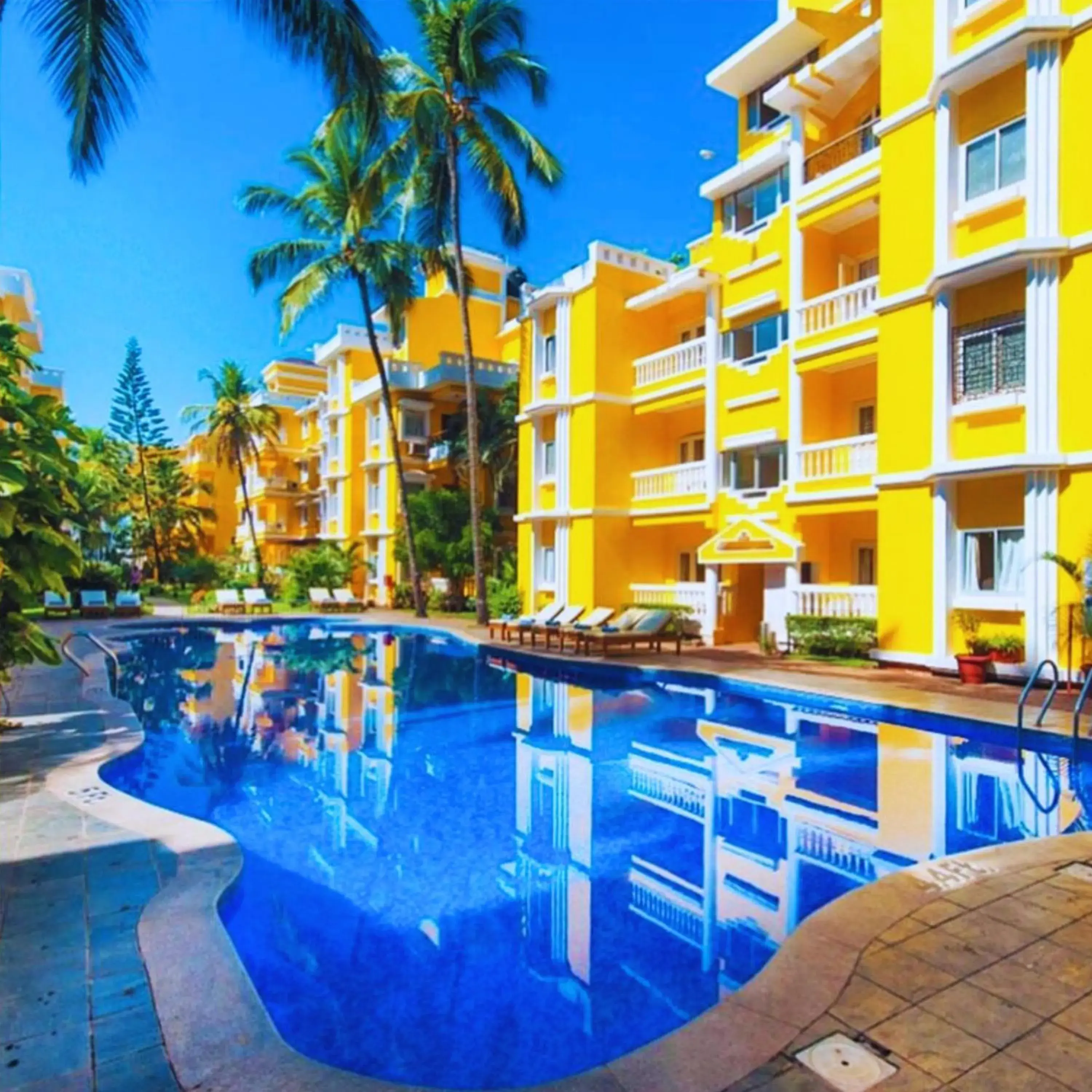 Swimming pool in Adamo The Bellus Calangute Swimming pool in Adamo The Bellus Calangute