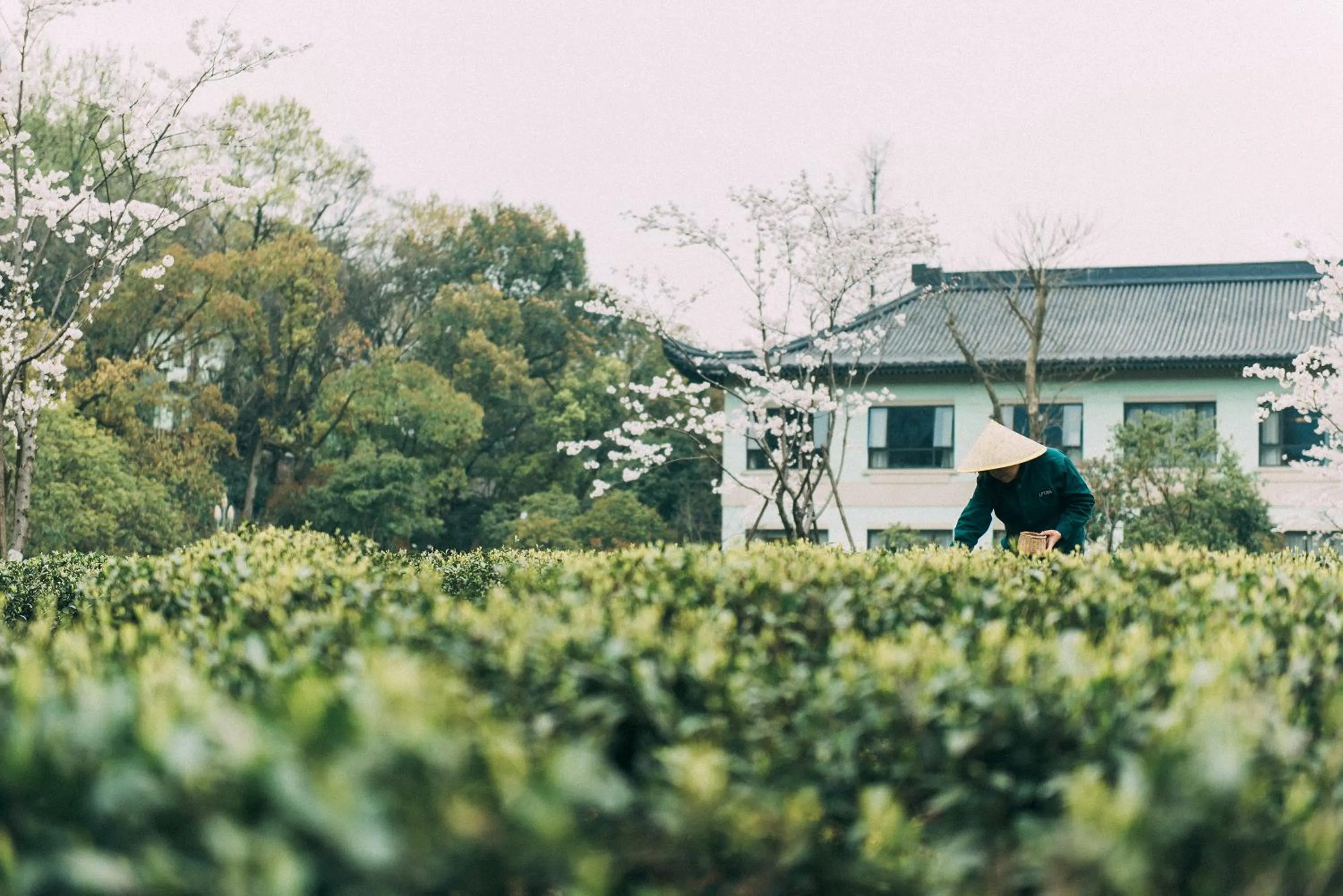 Garden in Zhejiang Xizi Hotel
