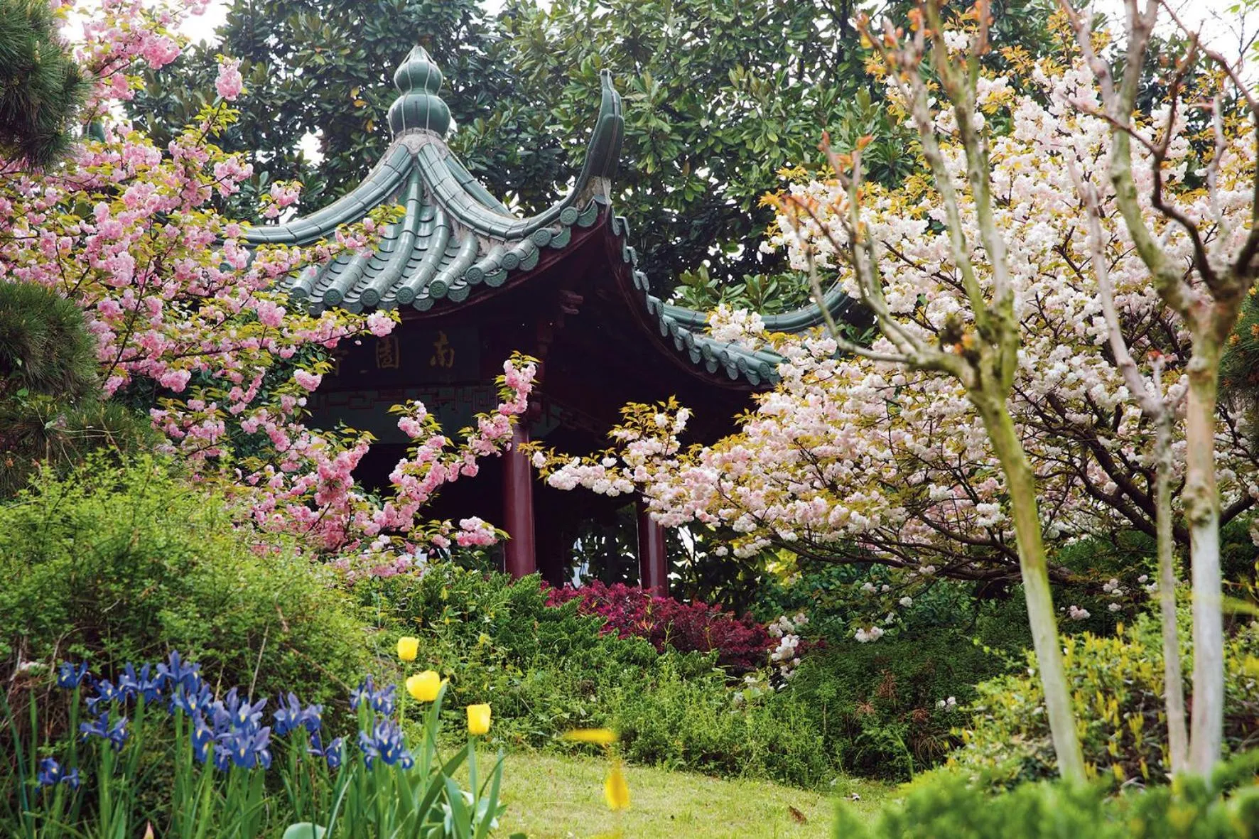 Garden in Zhejiang Xizi Hotel