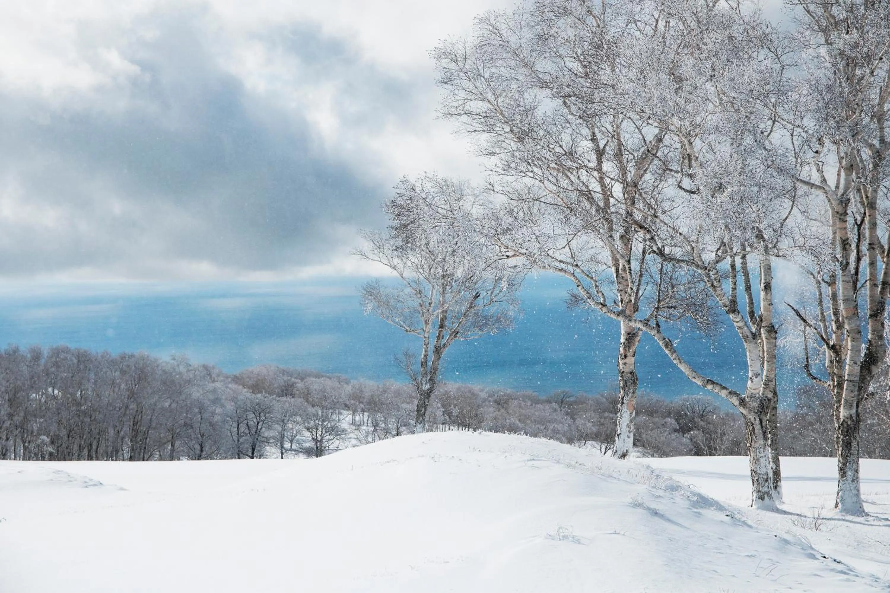 Off site in Vignette Collection The Windsor Hotel TOYA by IHG