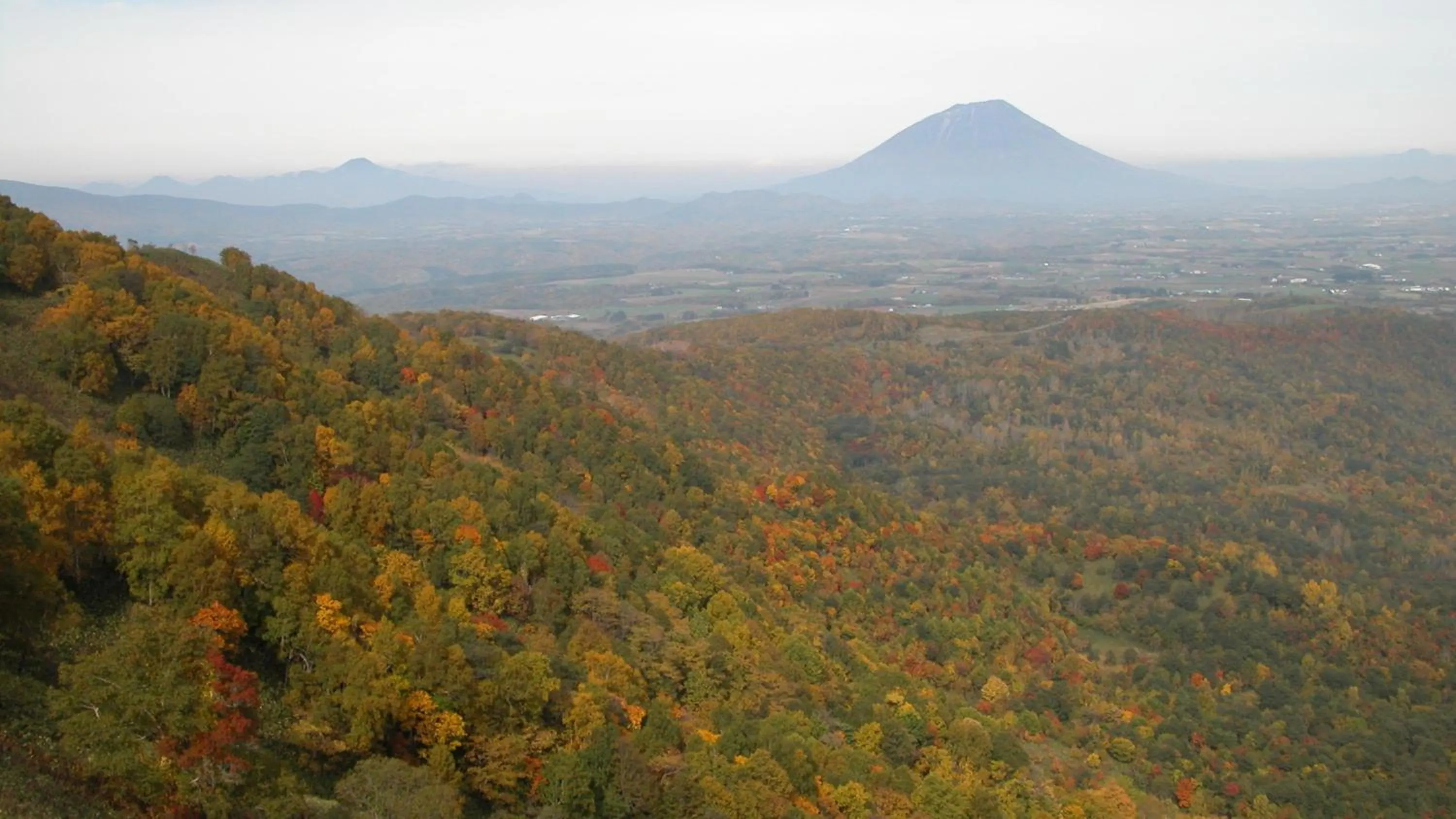 Other in Vignette Collection The Windsor Hotel TOYA by IHG