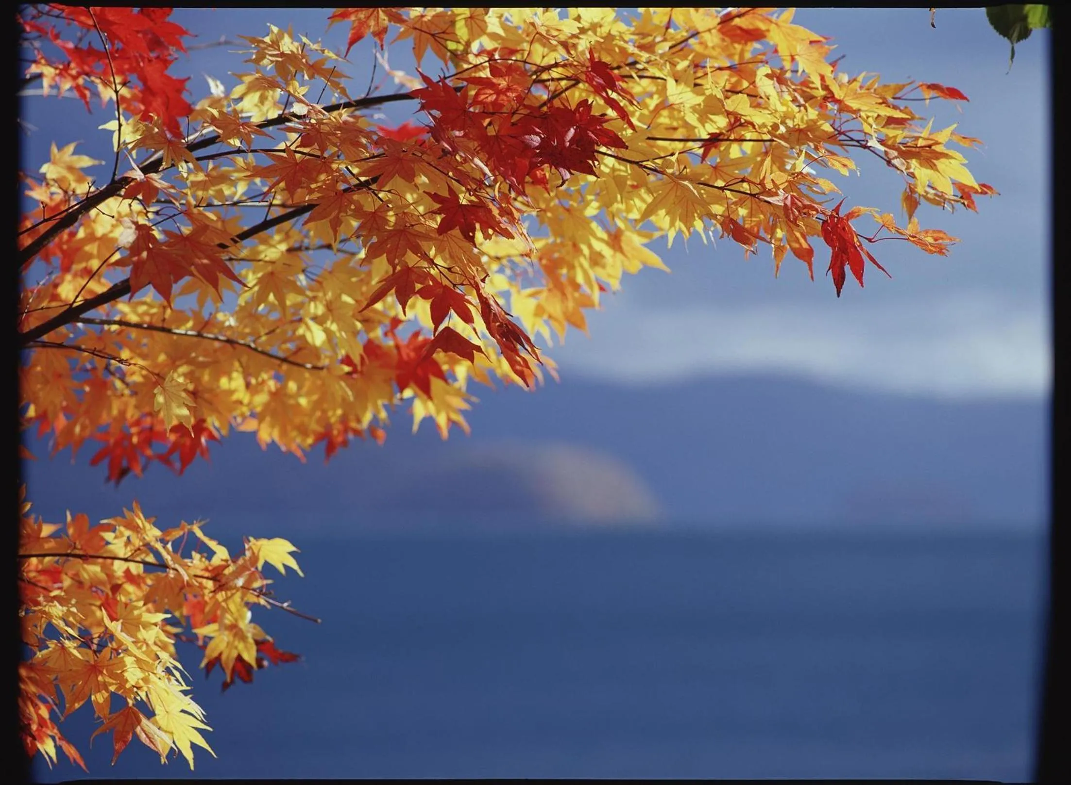 Other in Vignette Collection The Windsor Hotel TOYA by IHG