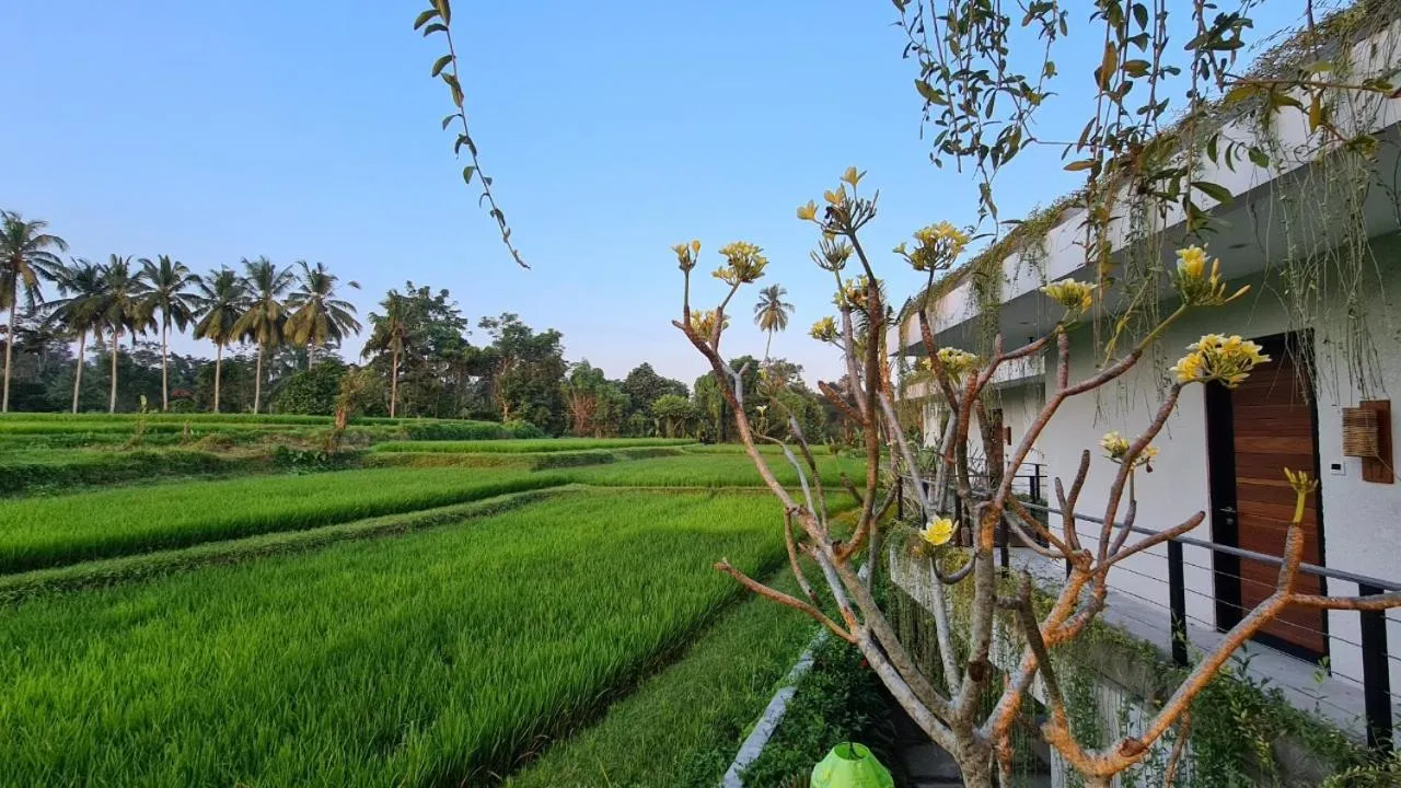 Garden in Ayurvedagram Bali