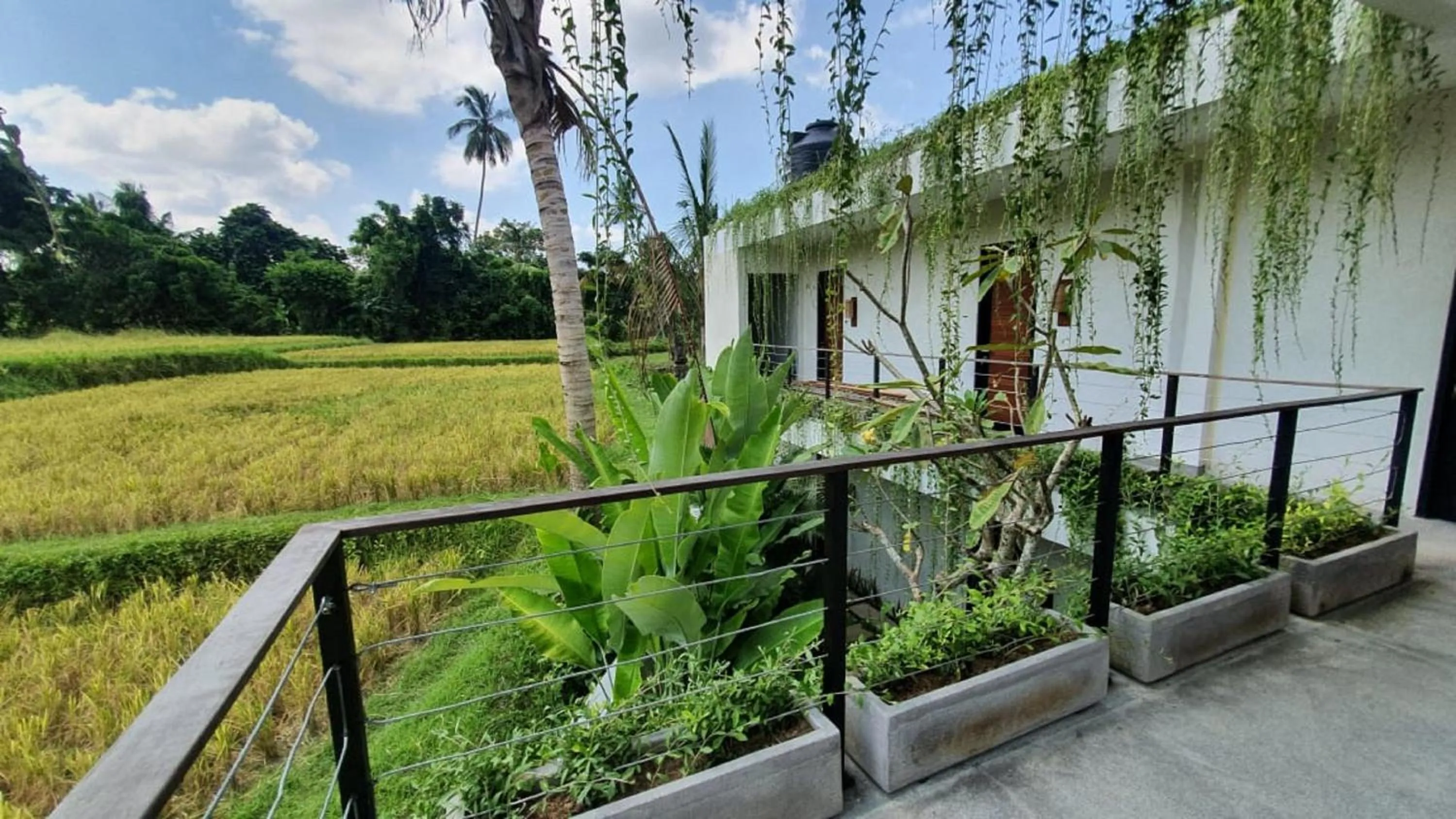 Balcony/Terrace in Ayurvedagram Bali