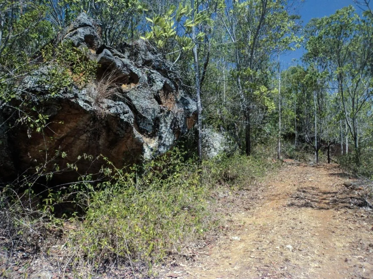 Surrona