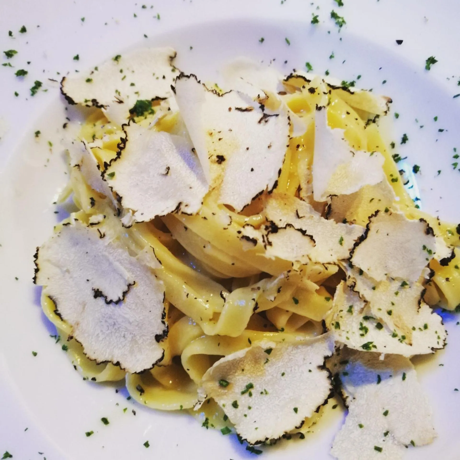 Restaurant/places to eat in Podere La Paolina