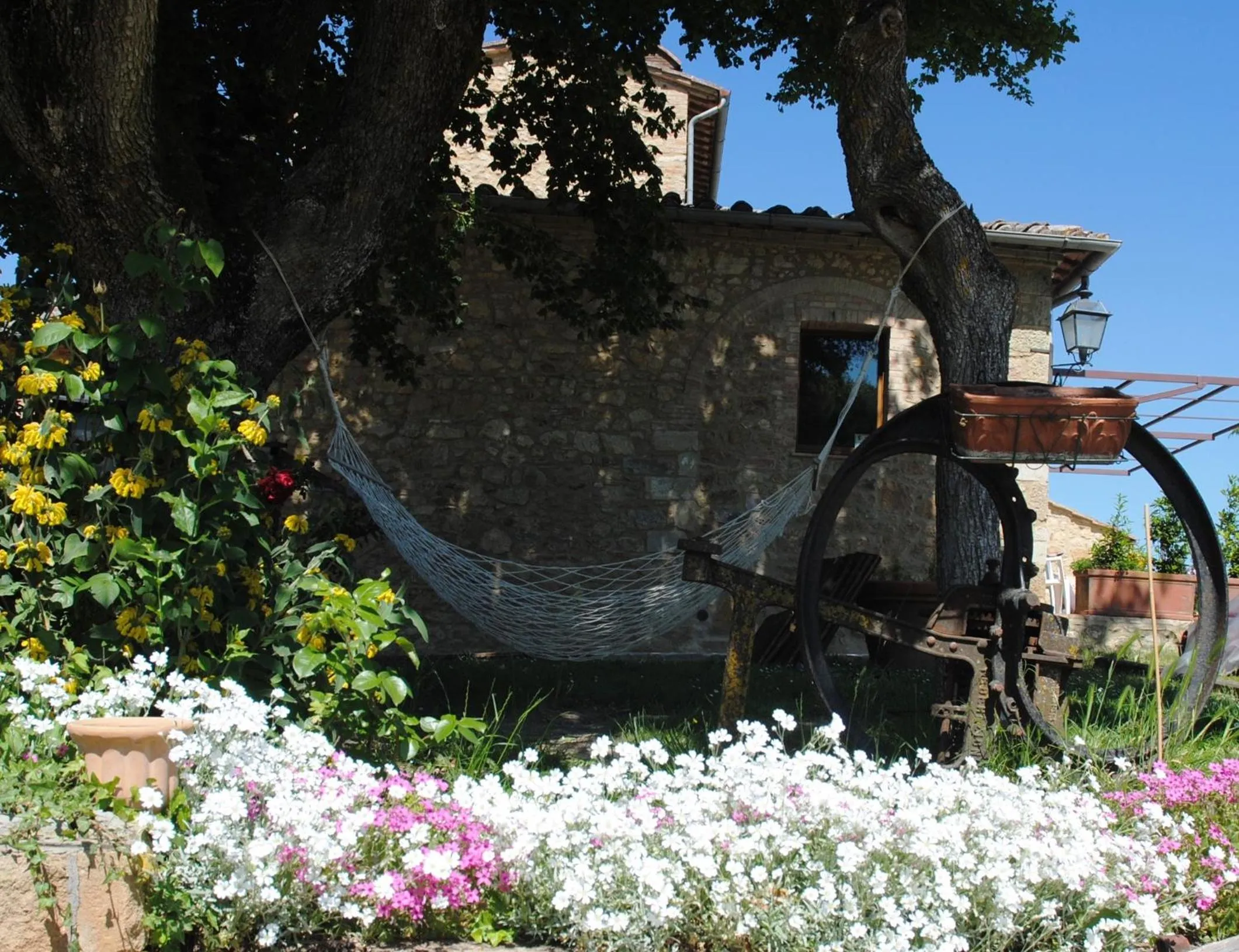 Garden in Podere La Paolina