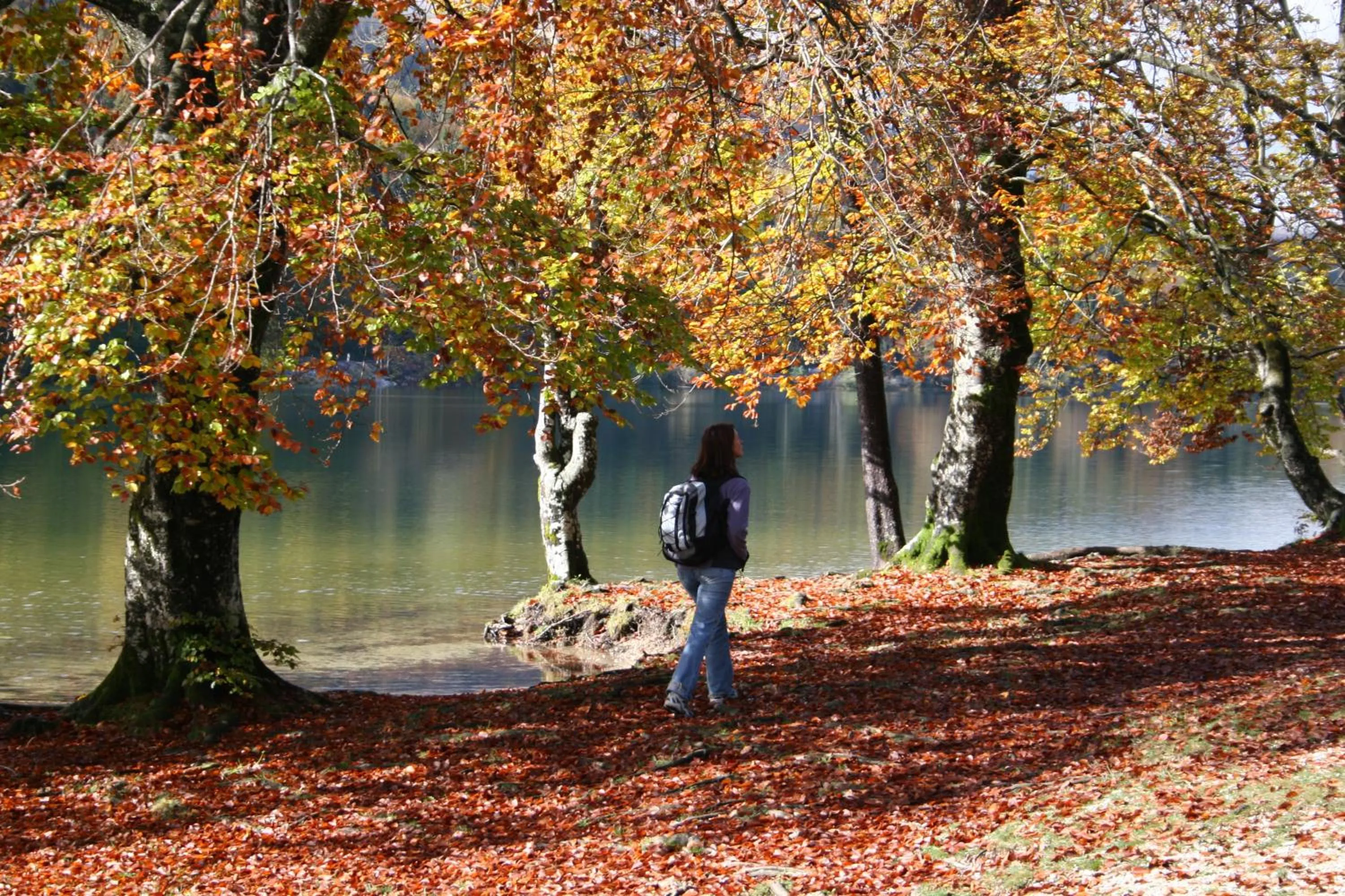 Natural landscape in PRIVILLAGE Stare - B&B
